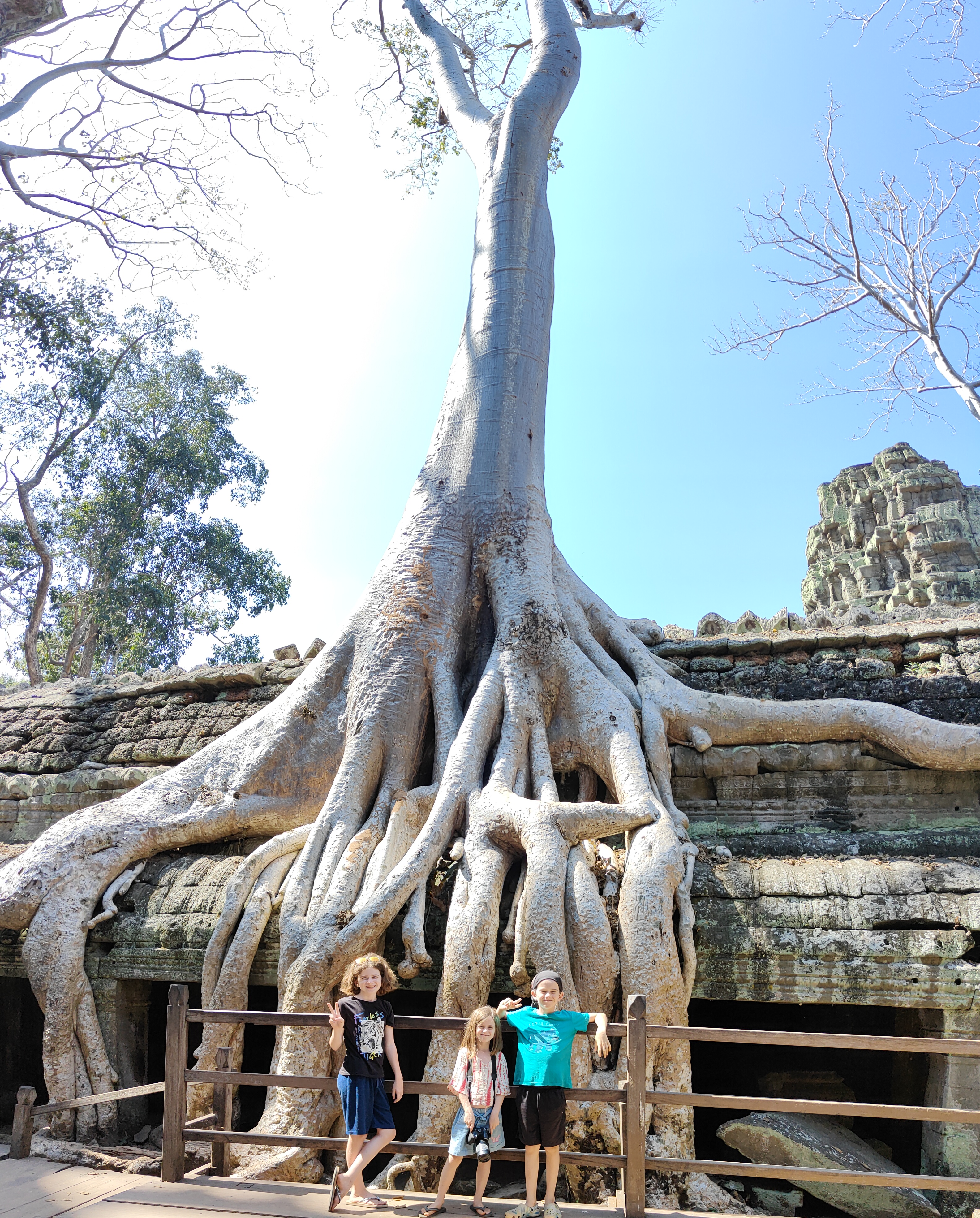 Ta prohm