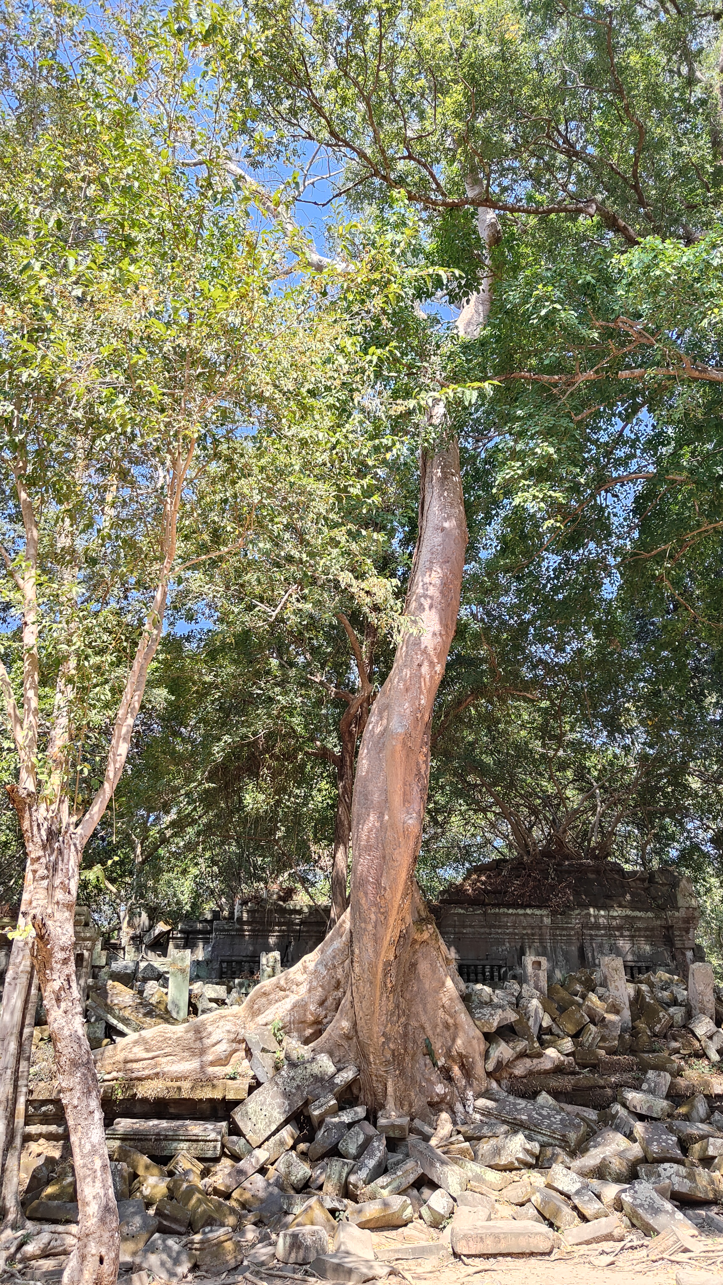 Beng Mealea