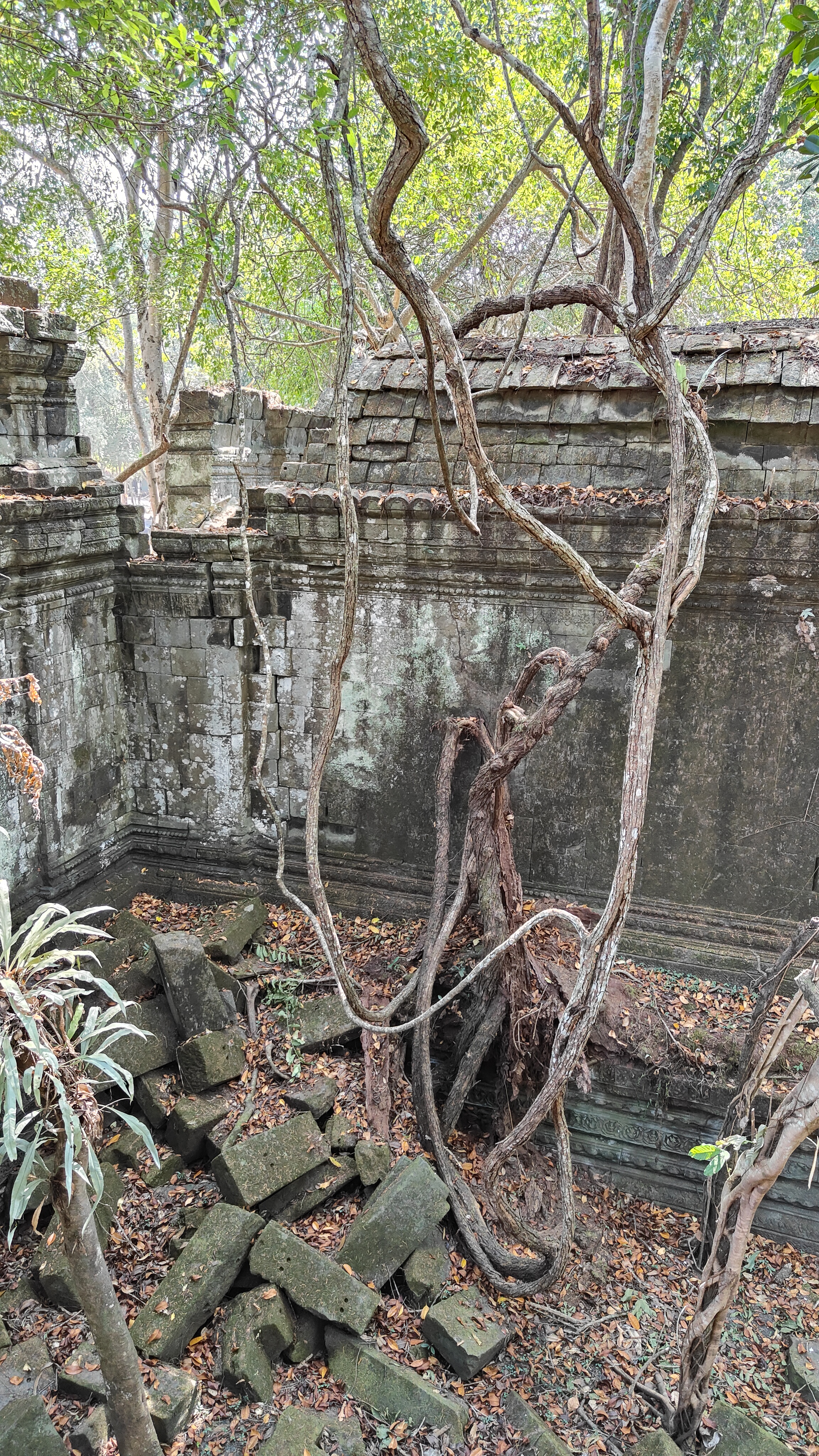 Beng Mealea