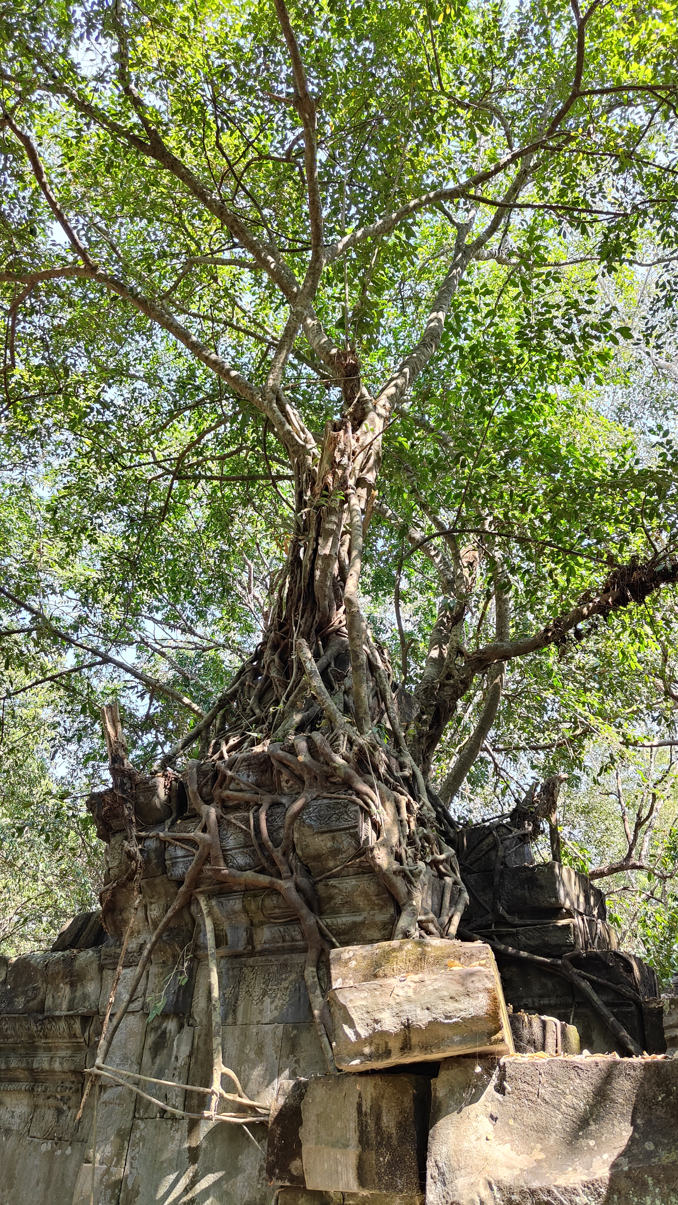 Beng Mealea
