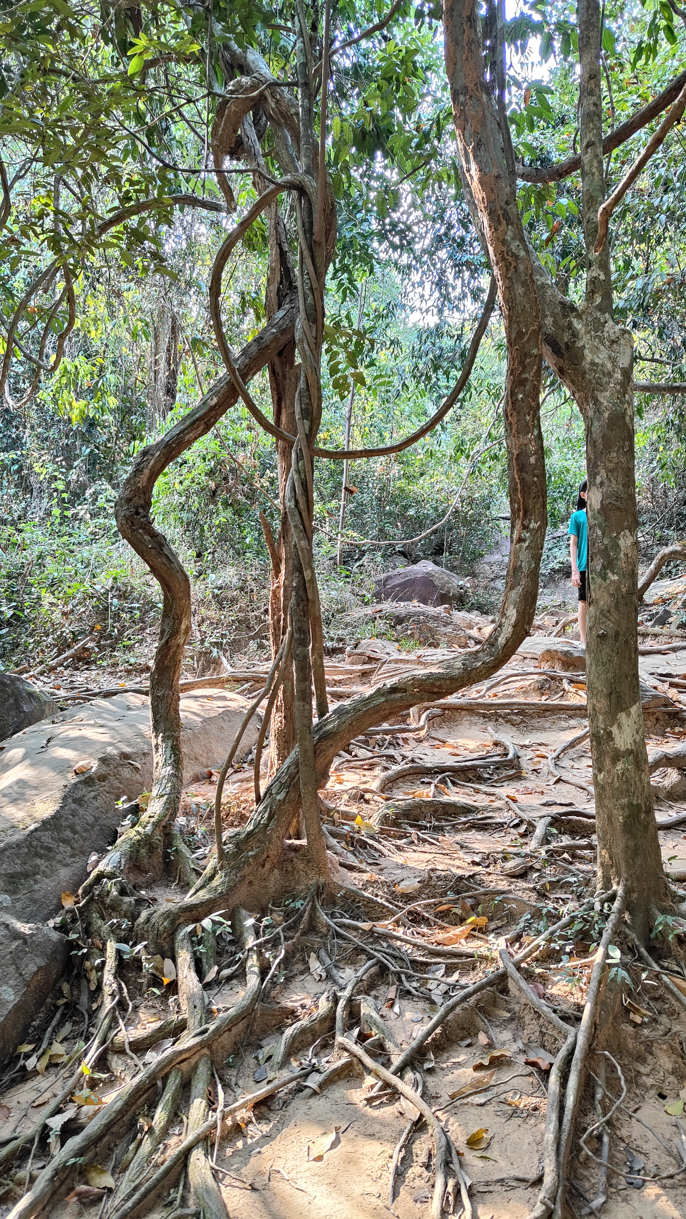 Kbal Spean