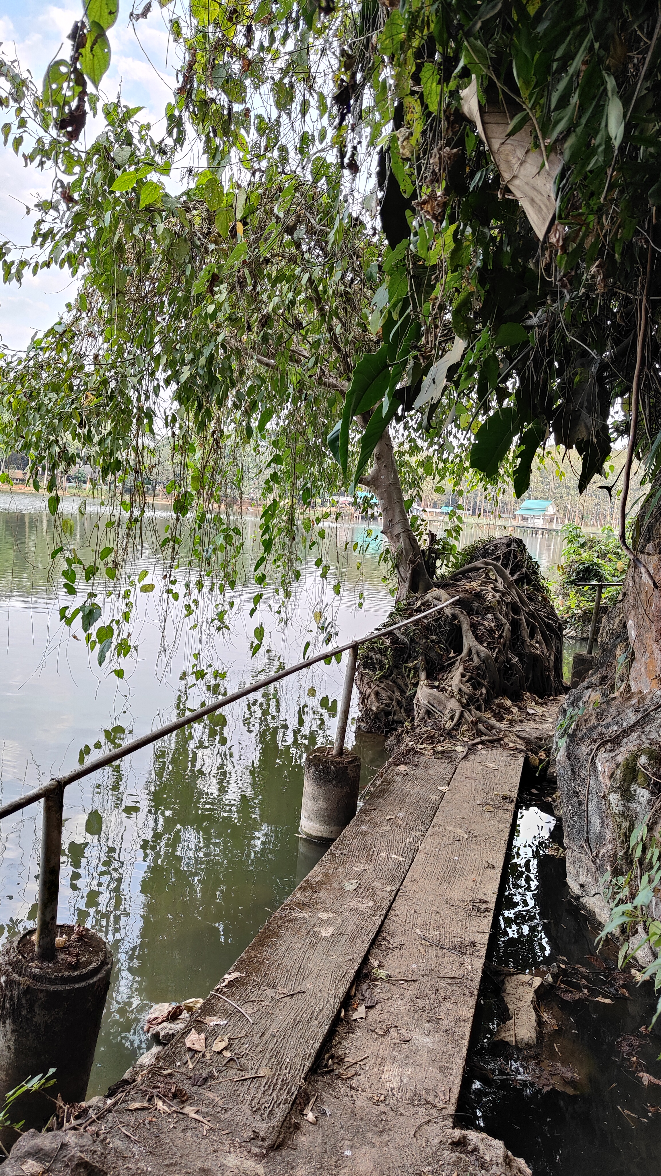 nature