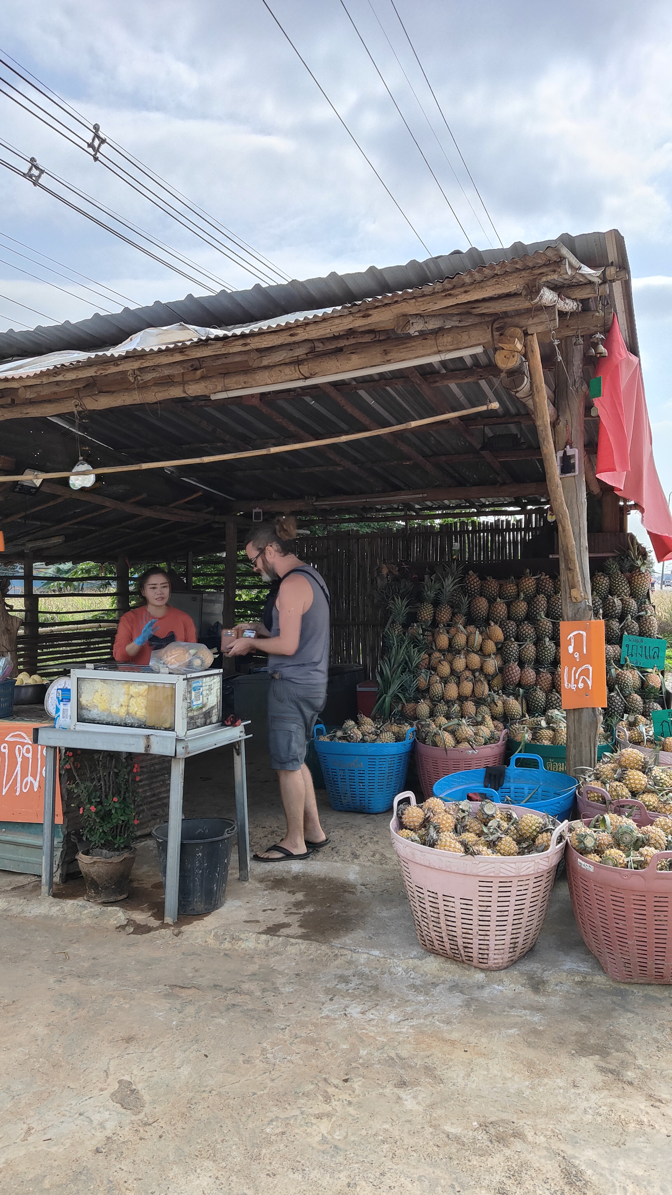 ananas