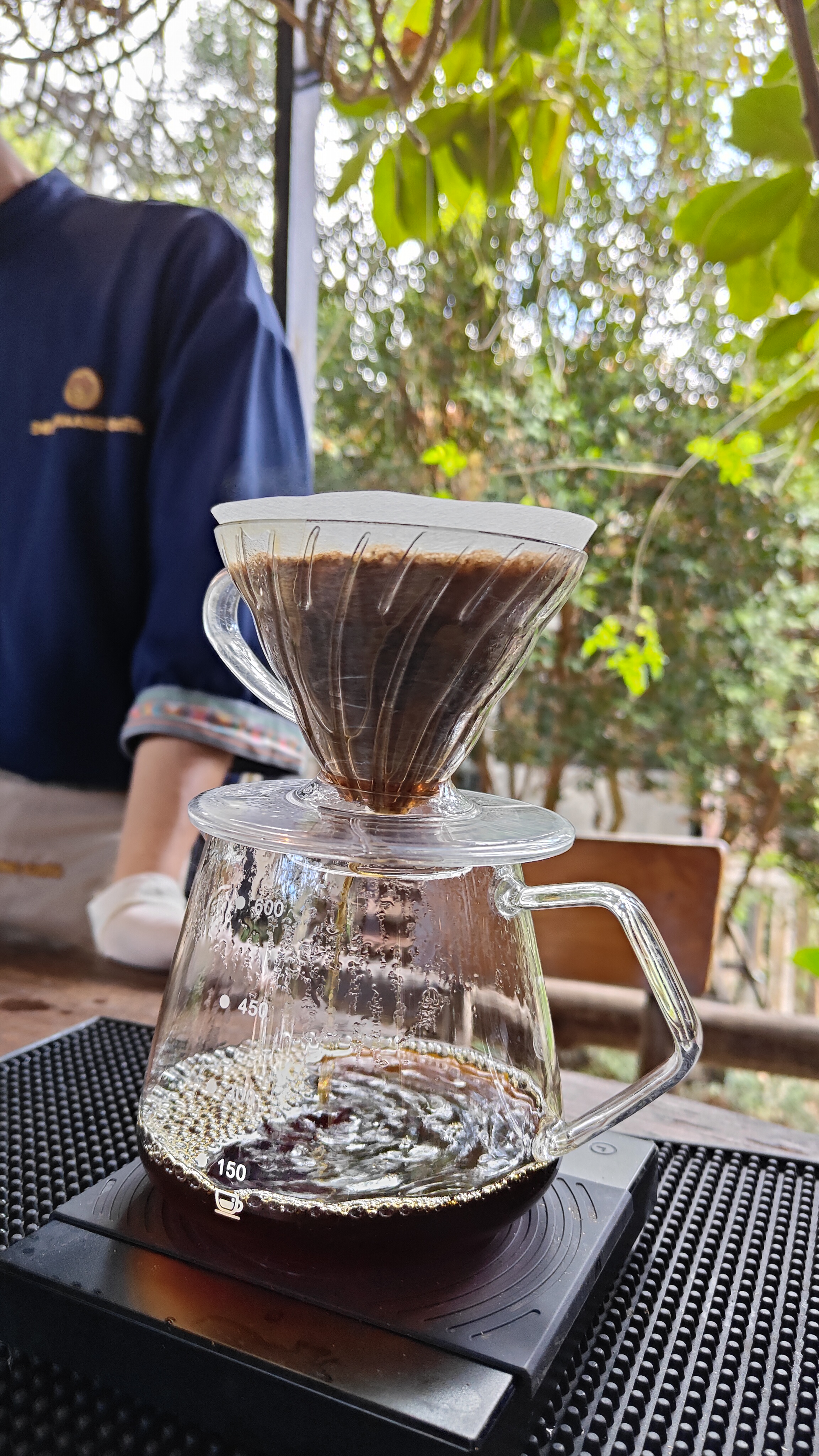Doi chaang coffee