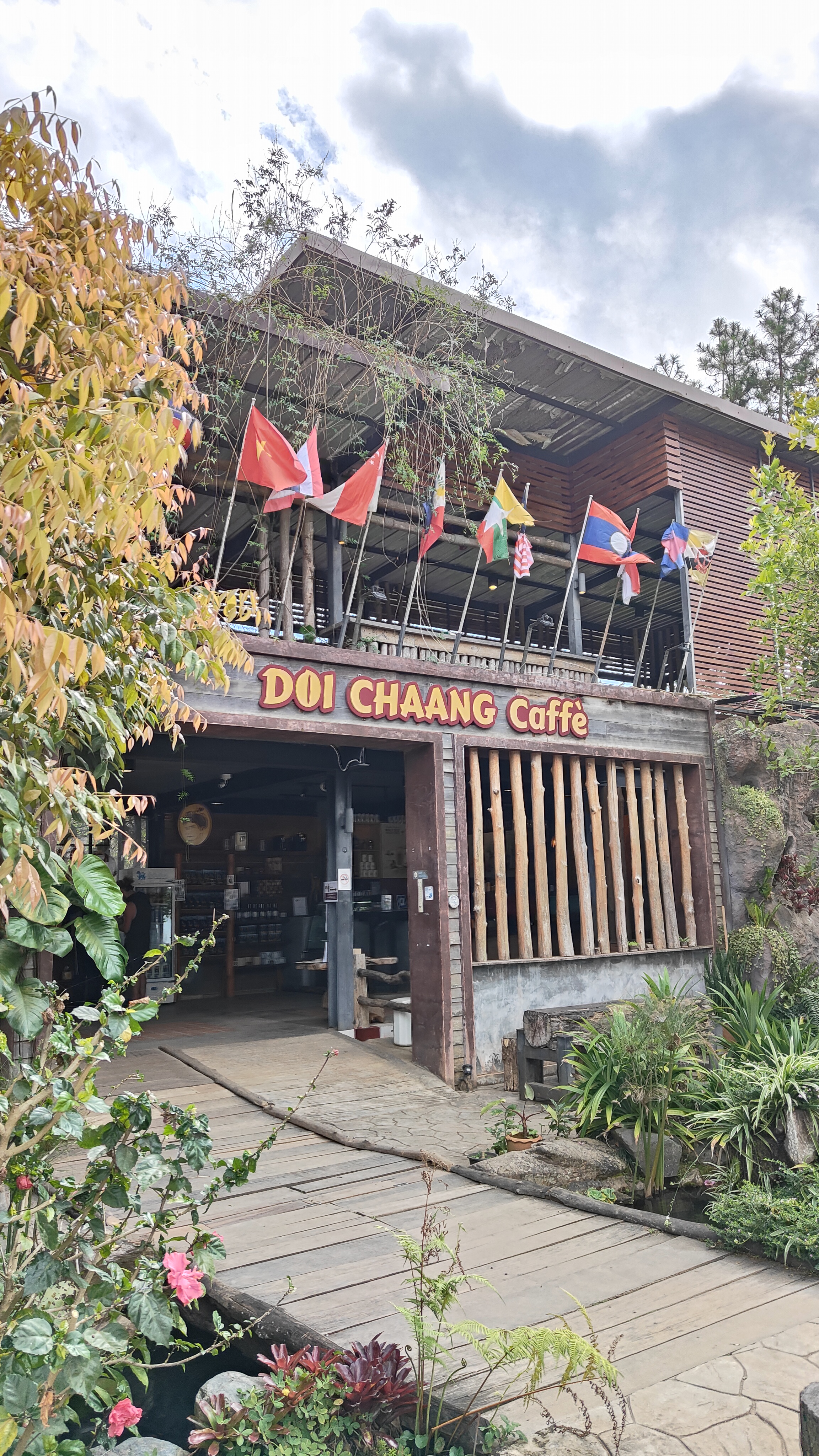 Doi chaang coffee