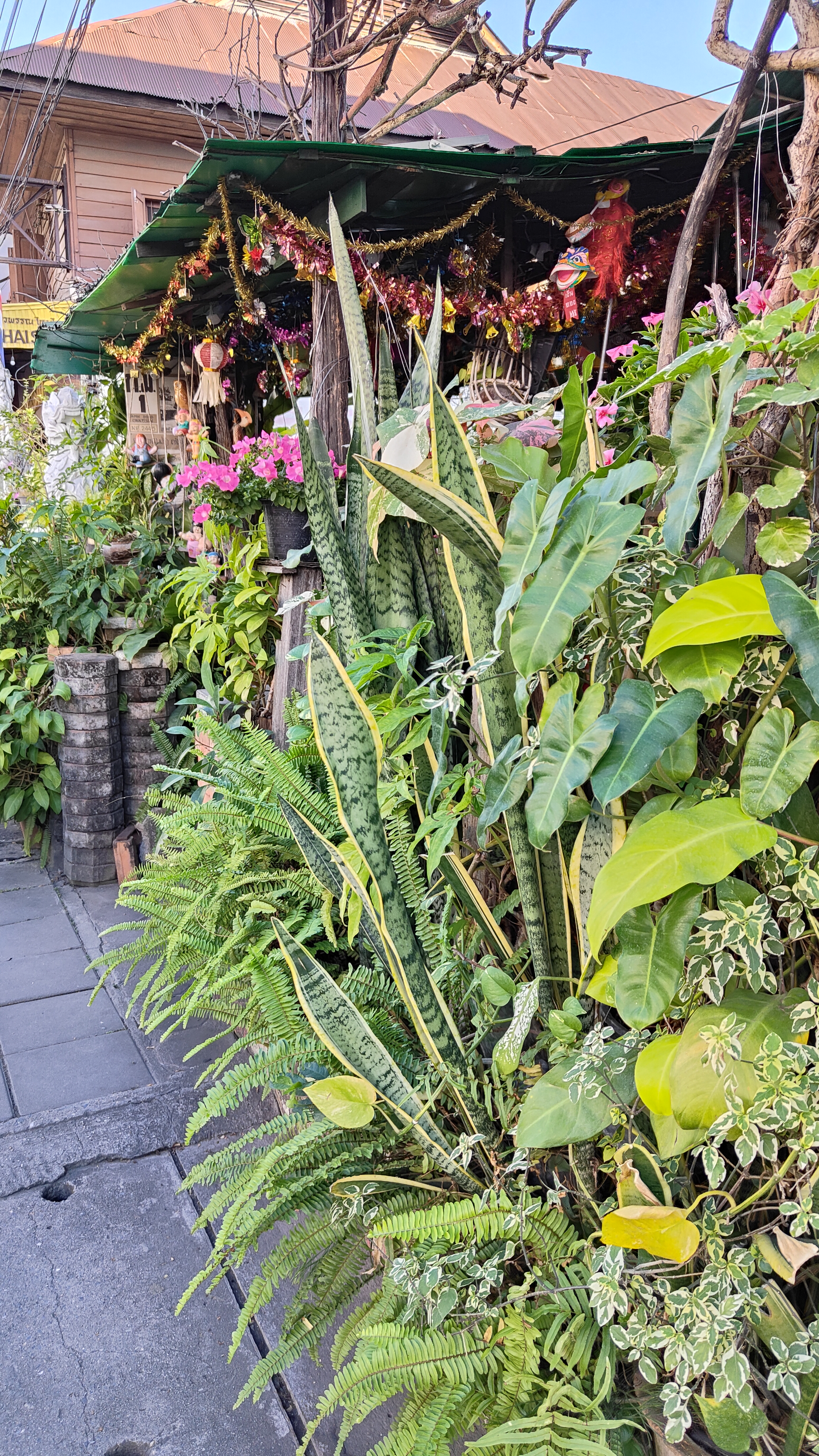 Warorot market