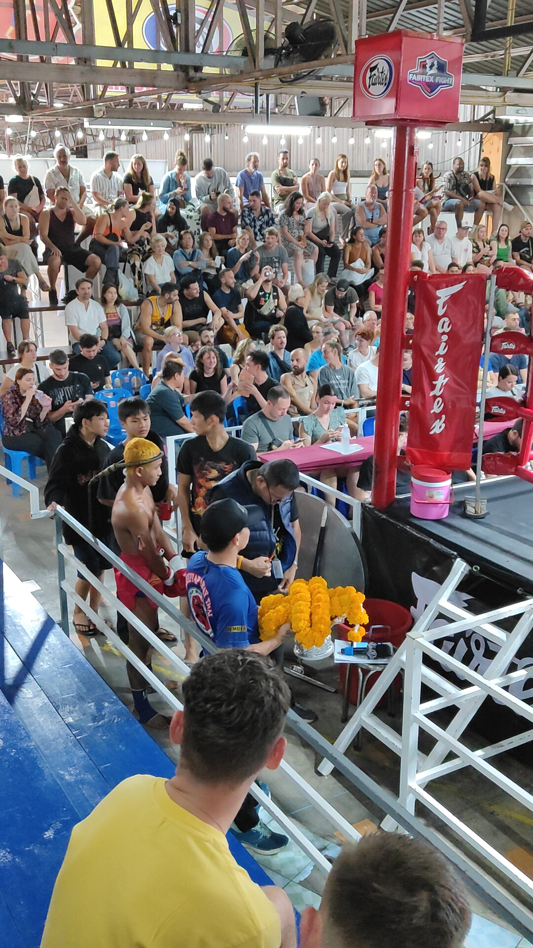 muay thai
