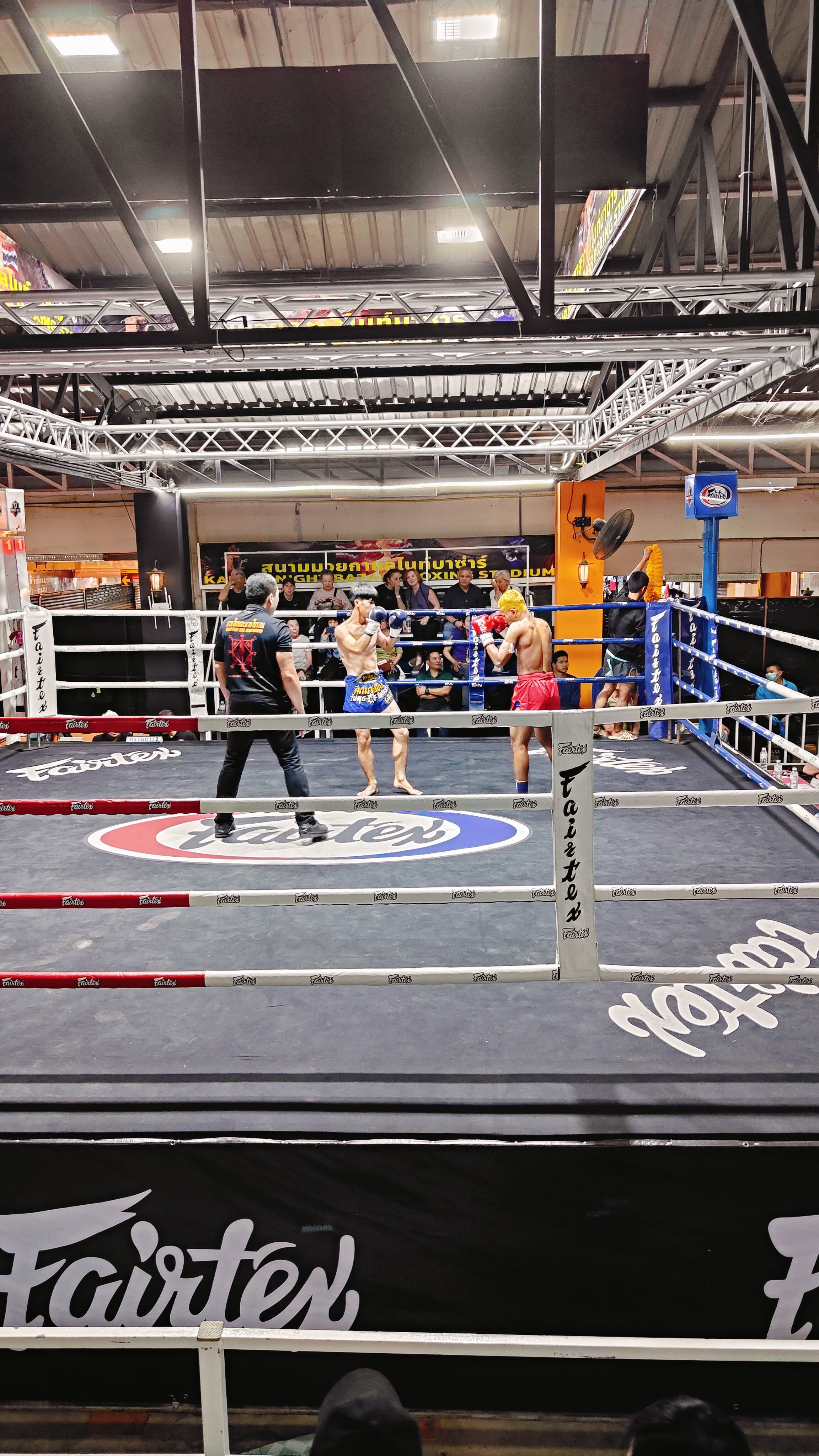 muay thai