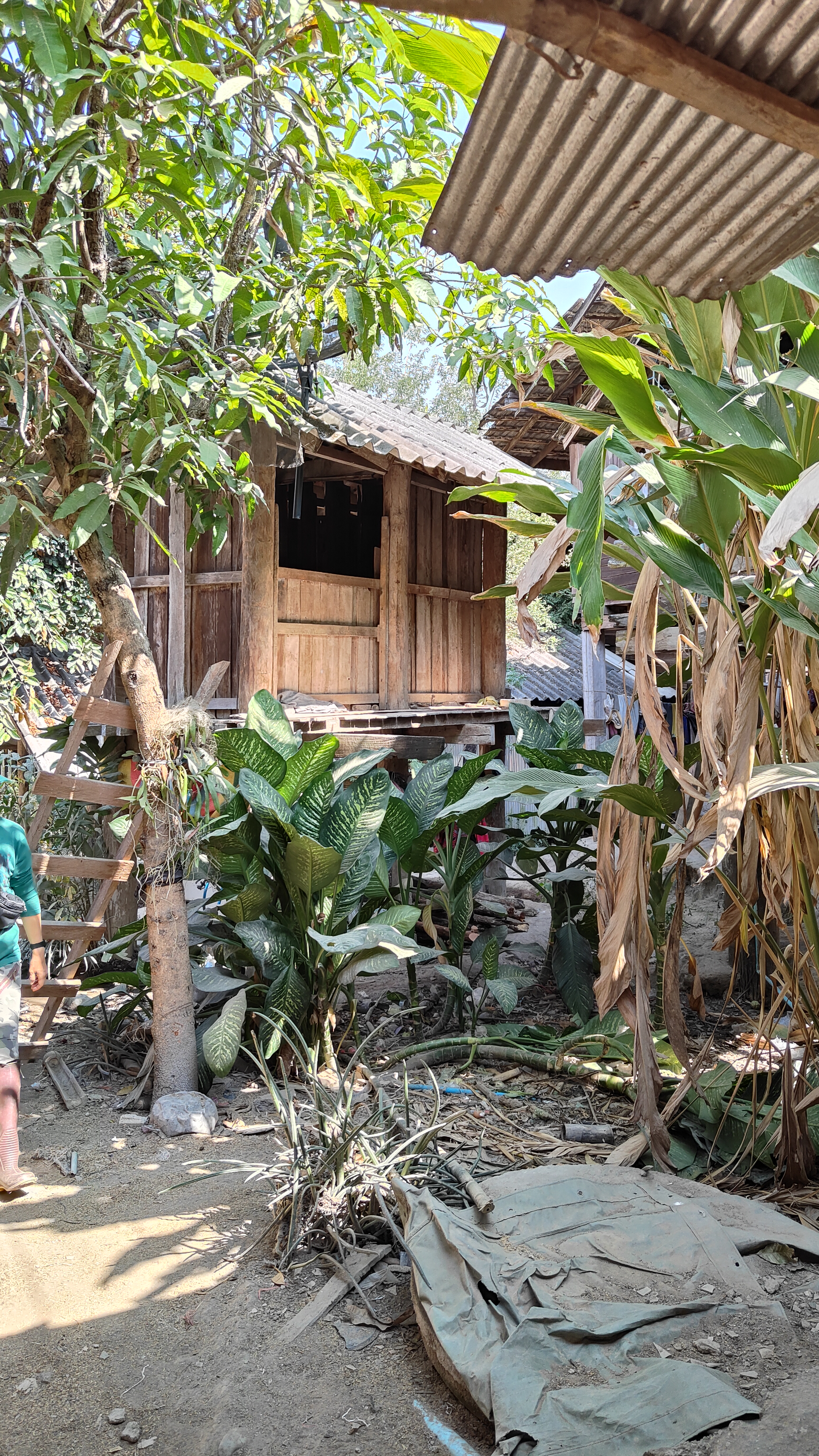 Village Karen
