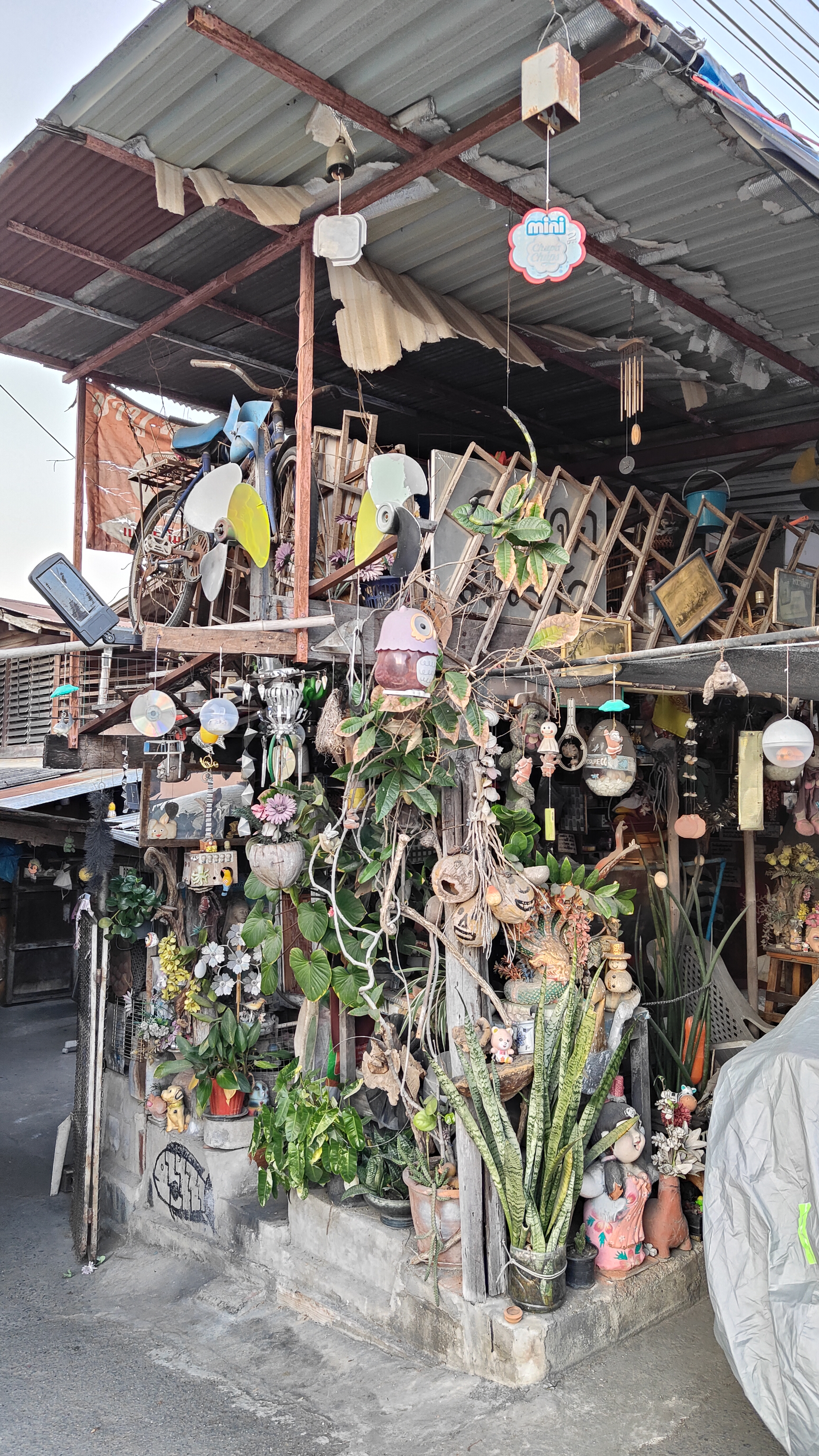 Chiang Mai