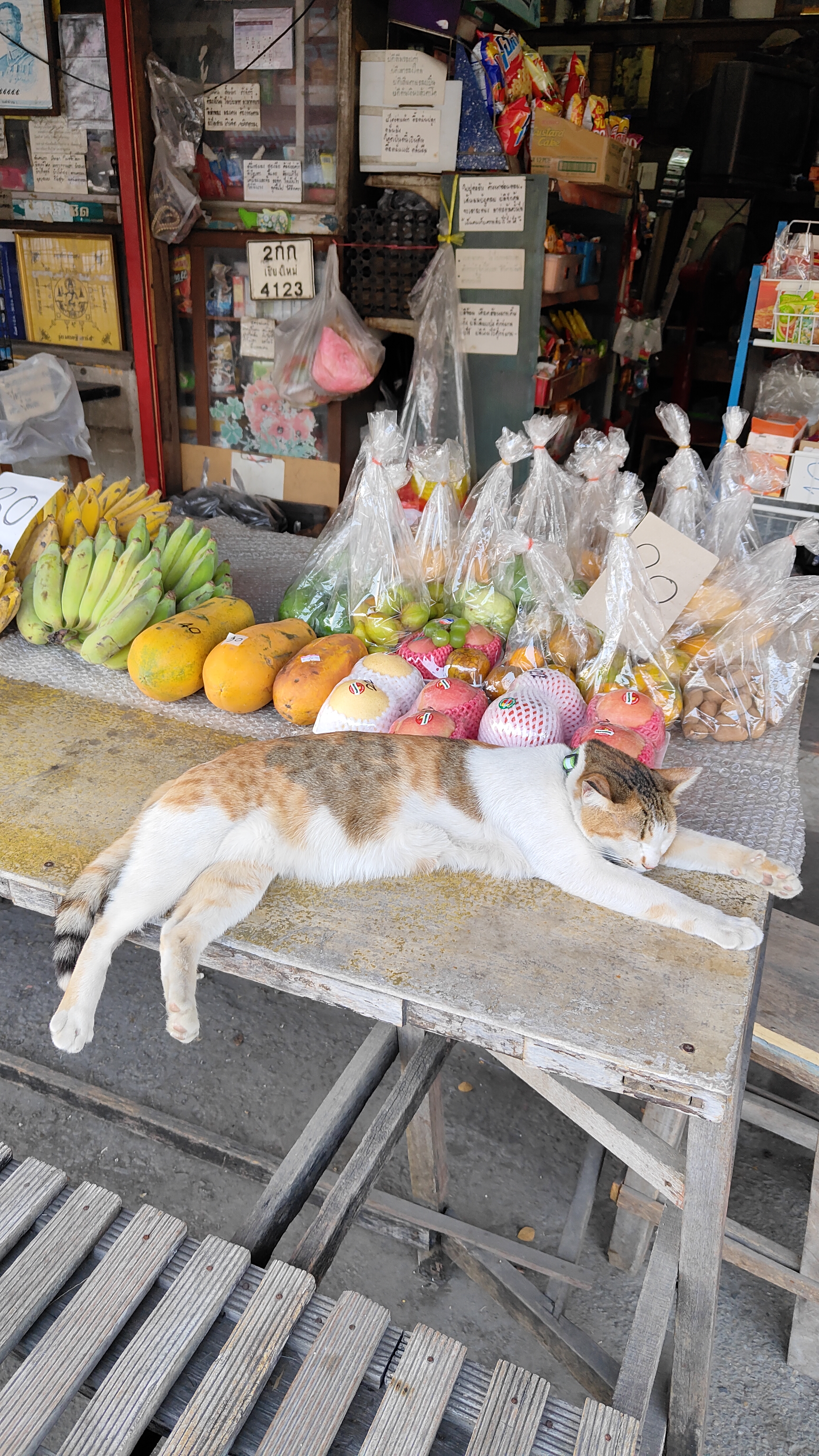 Chiang Mai