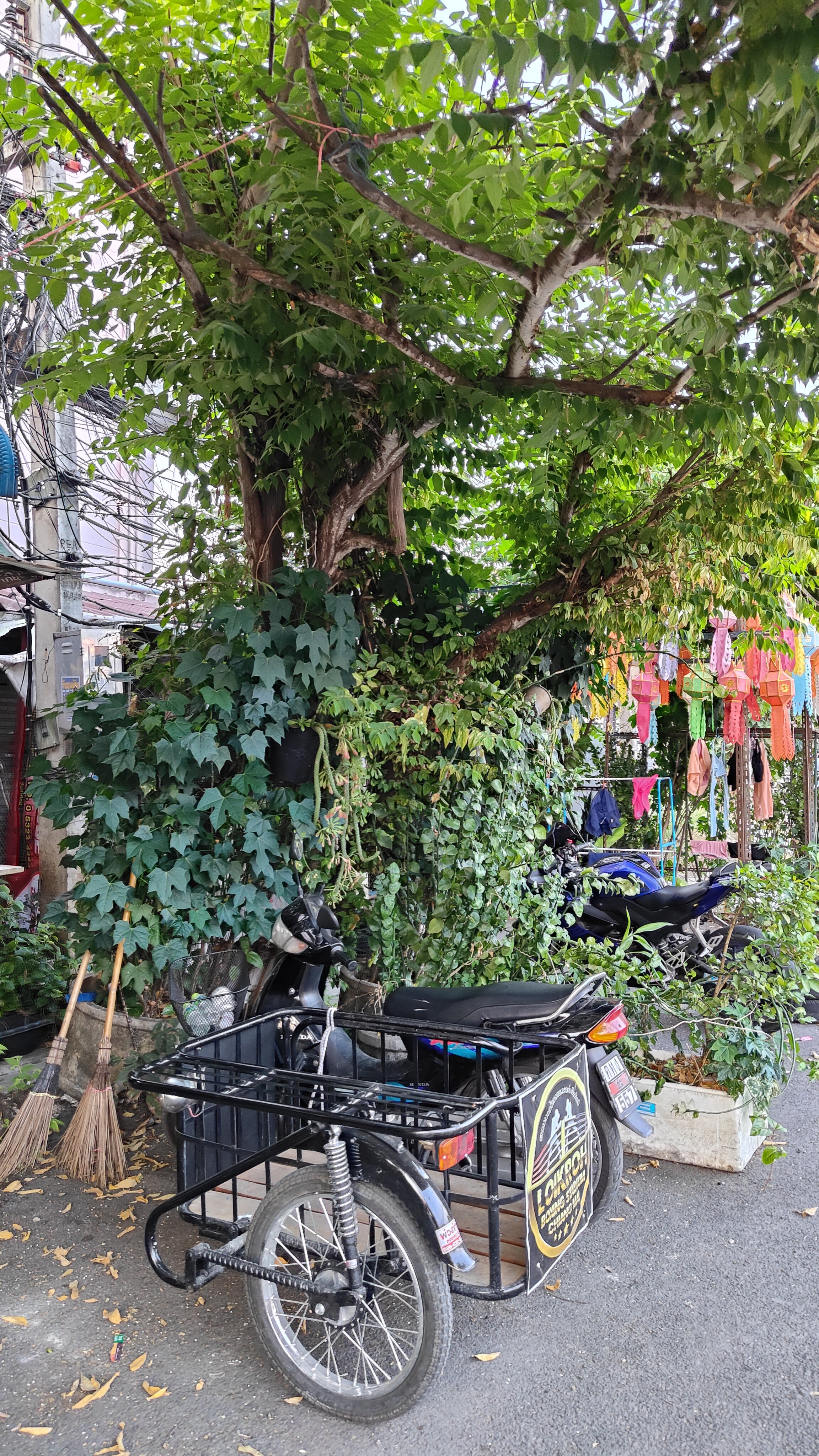 Chiang Mai