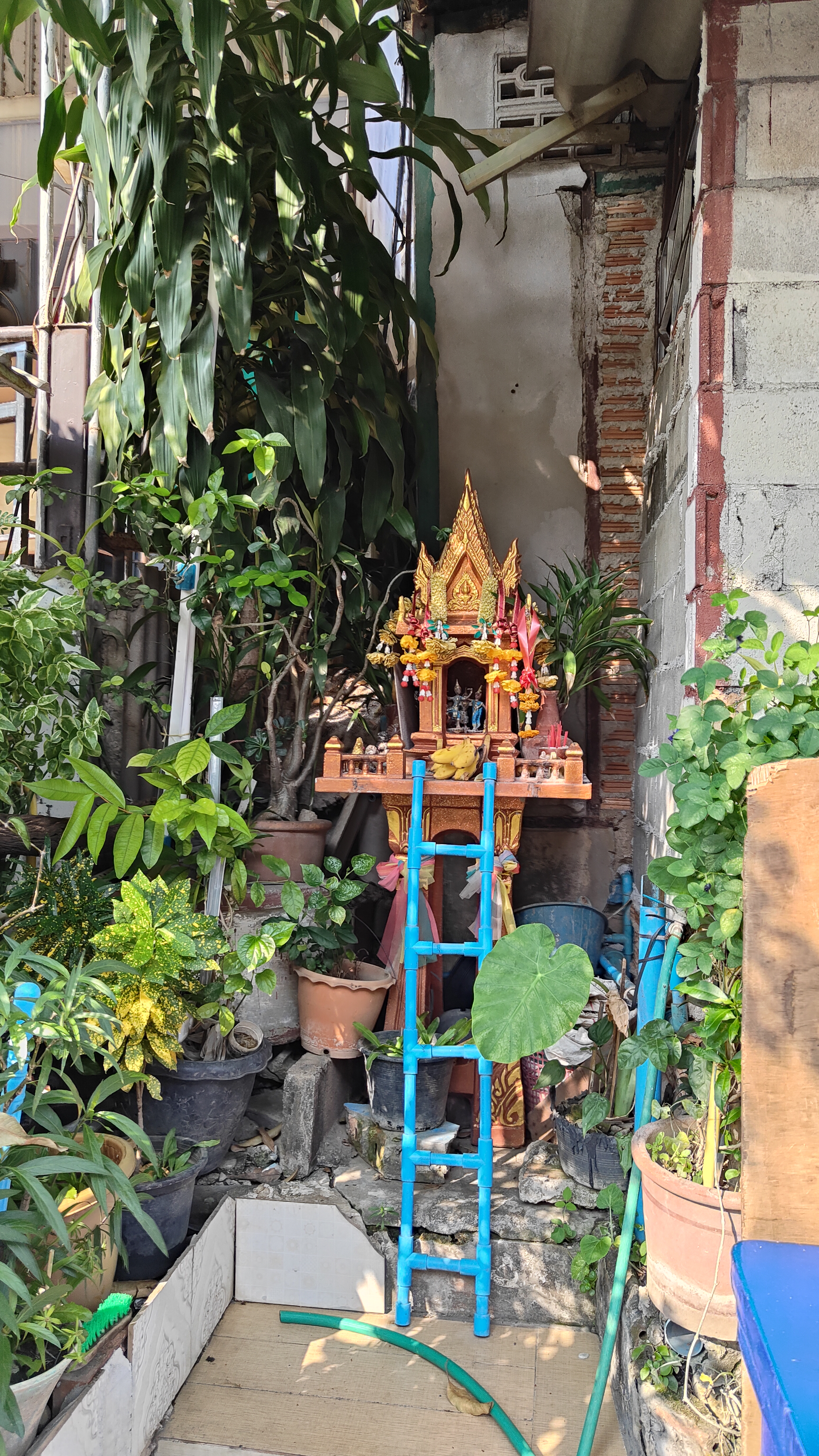Chiang Mai