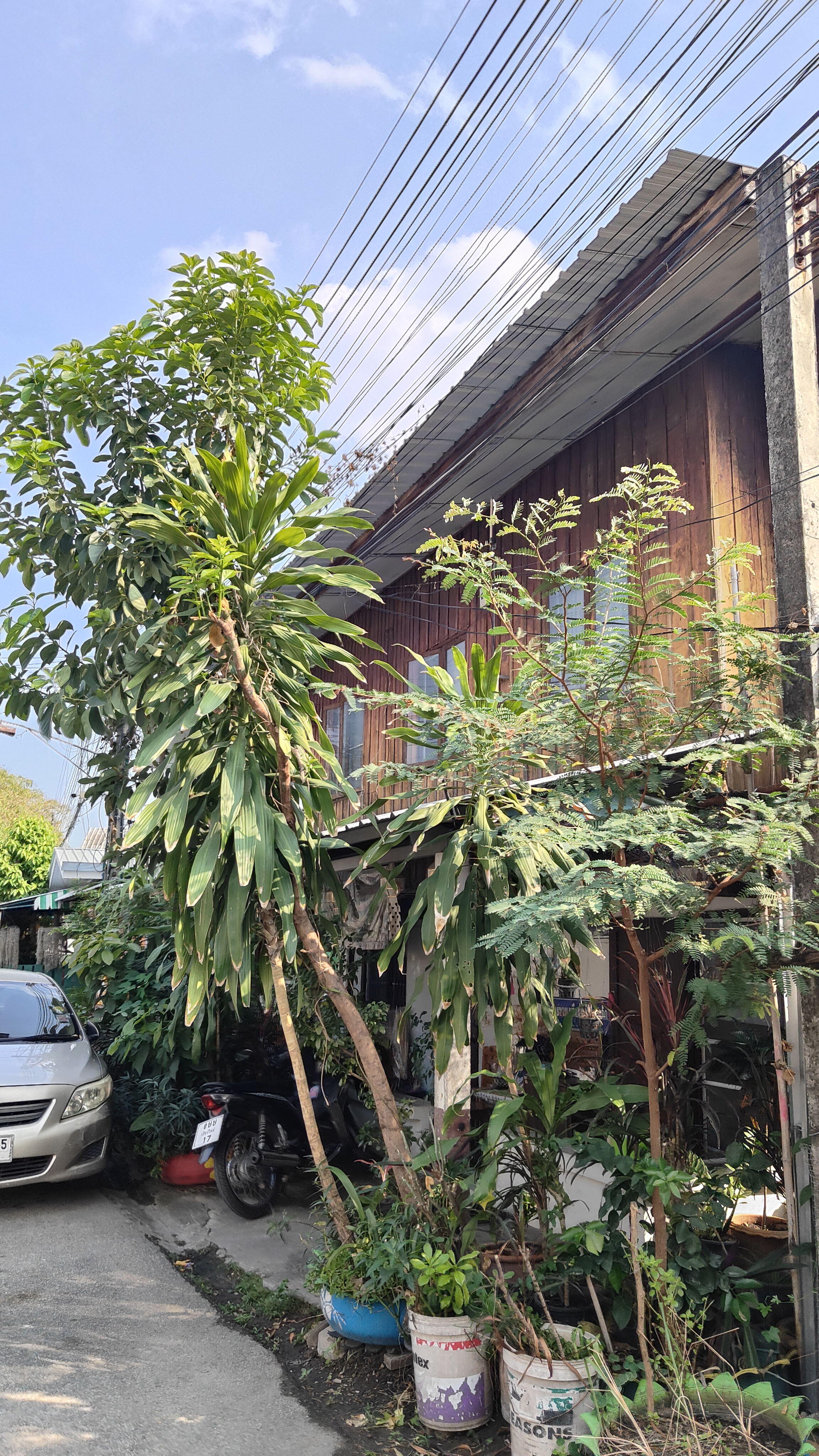 Chiang Mai