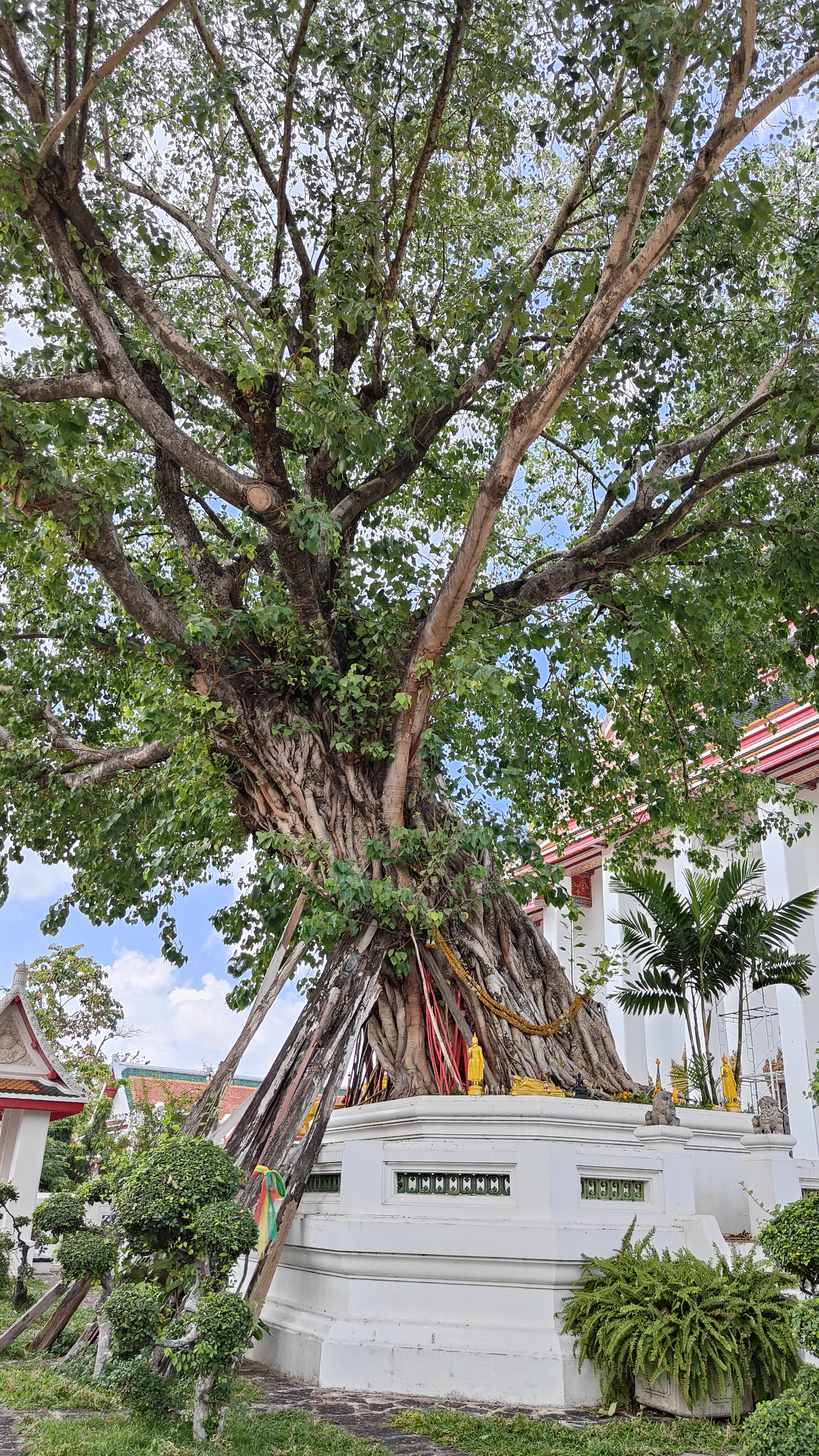 Bangkok Wat Pho