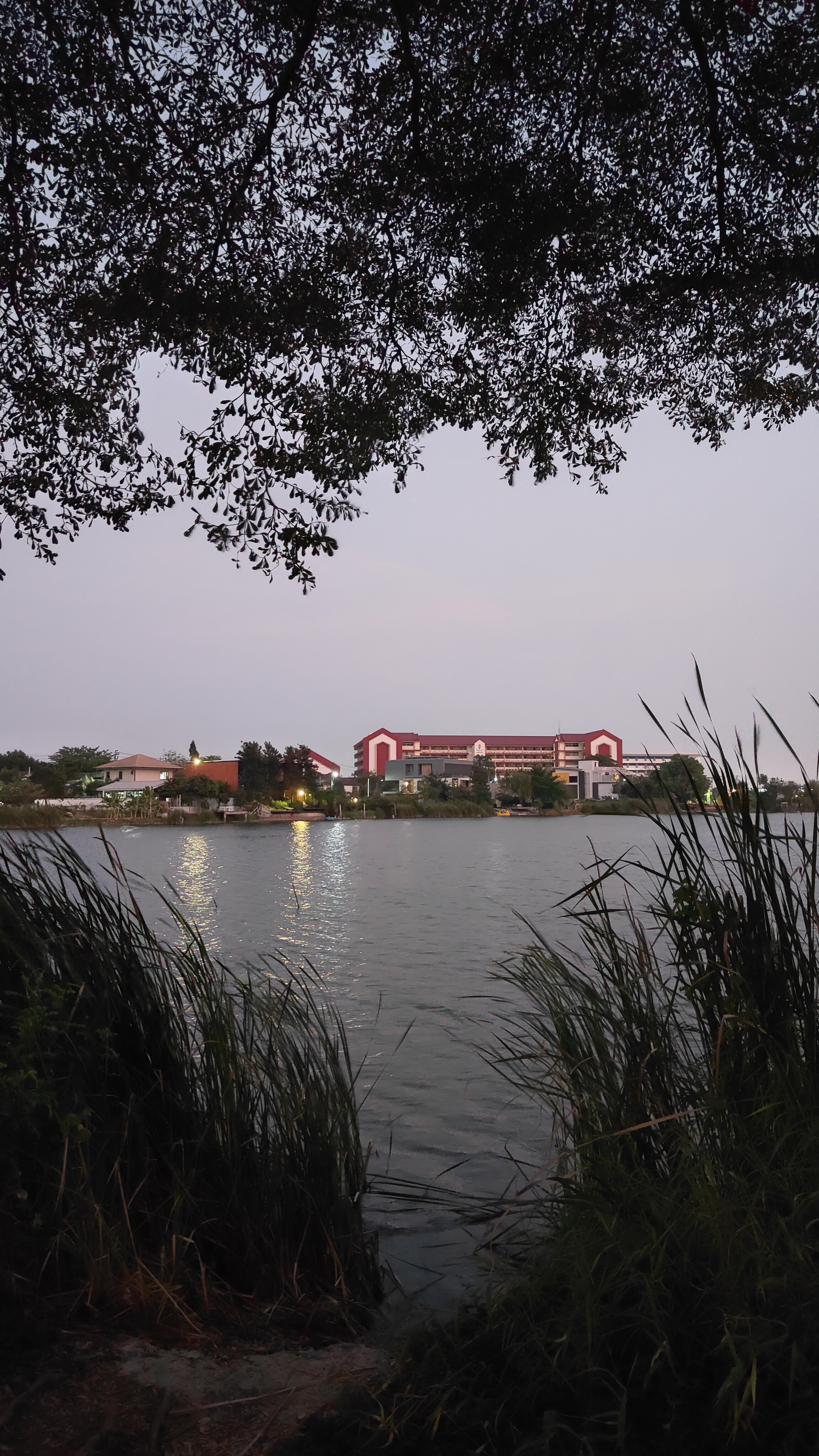 lac