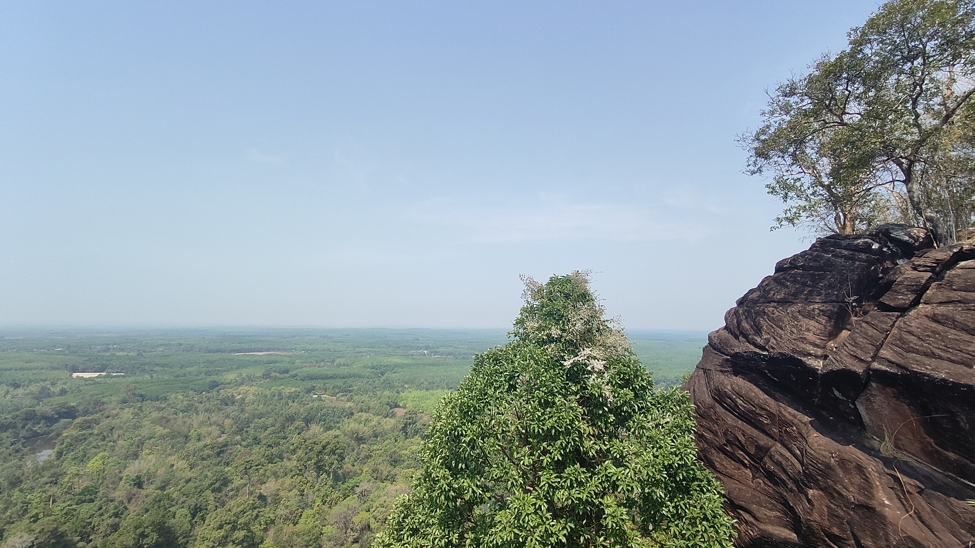 nature
