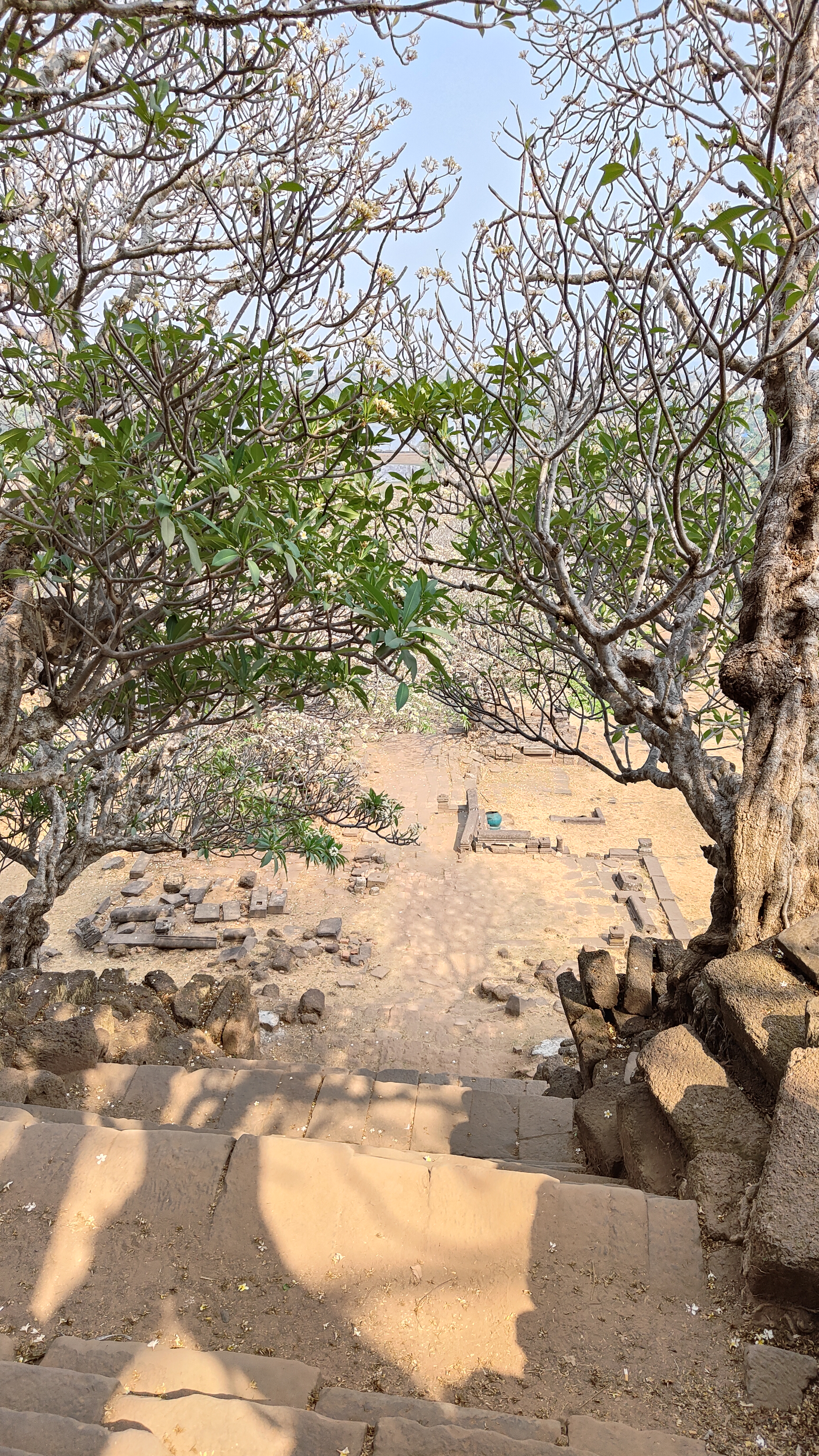 Vat Phou