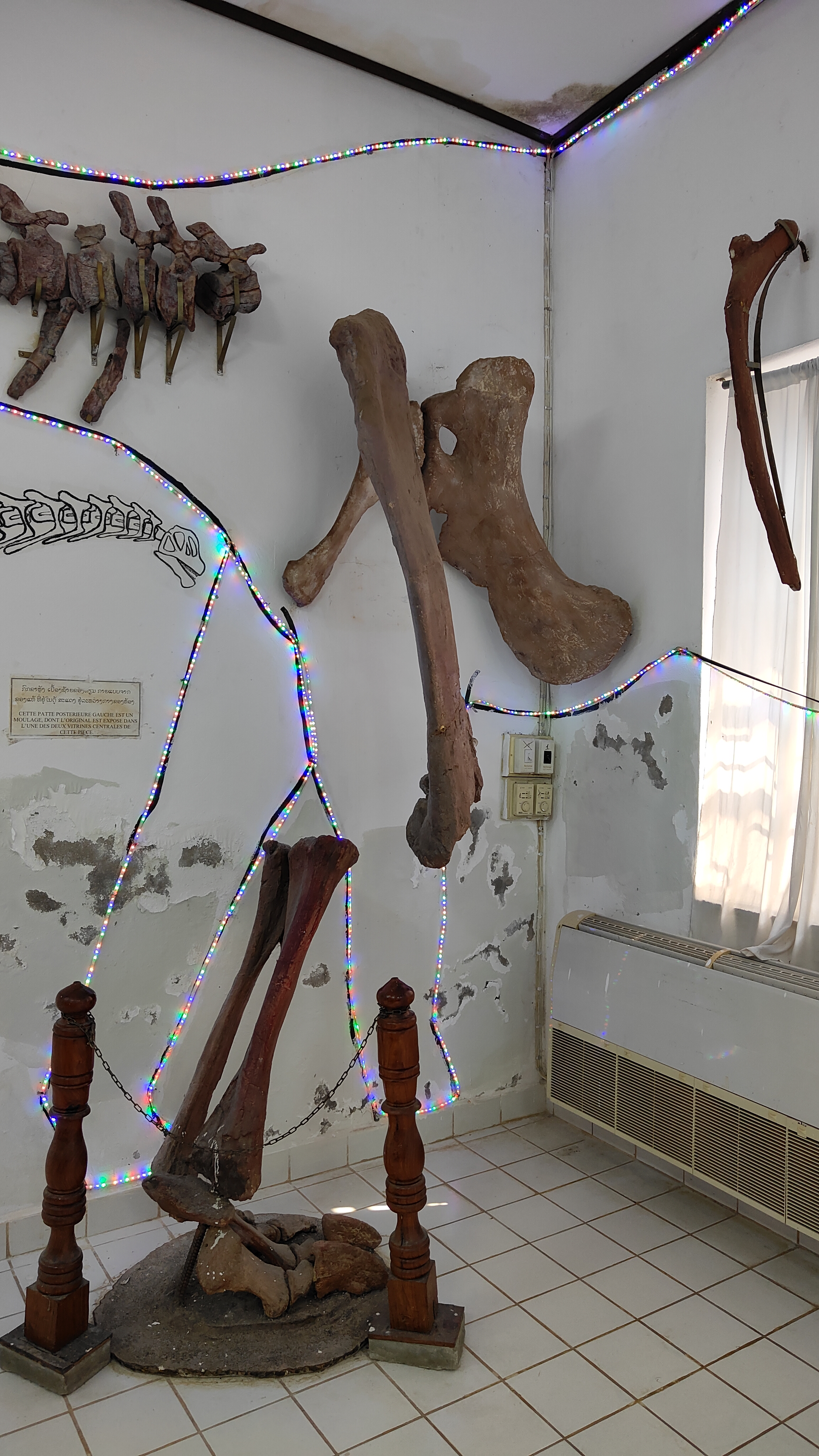Savanaketh - musée dinosaure