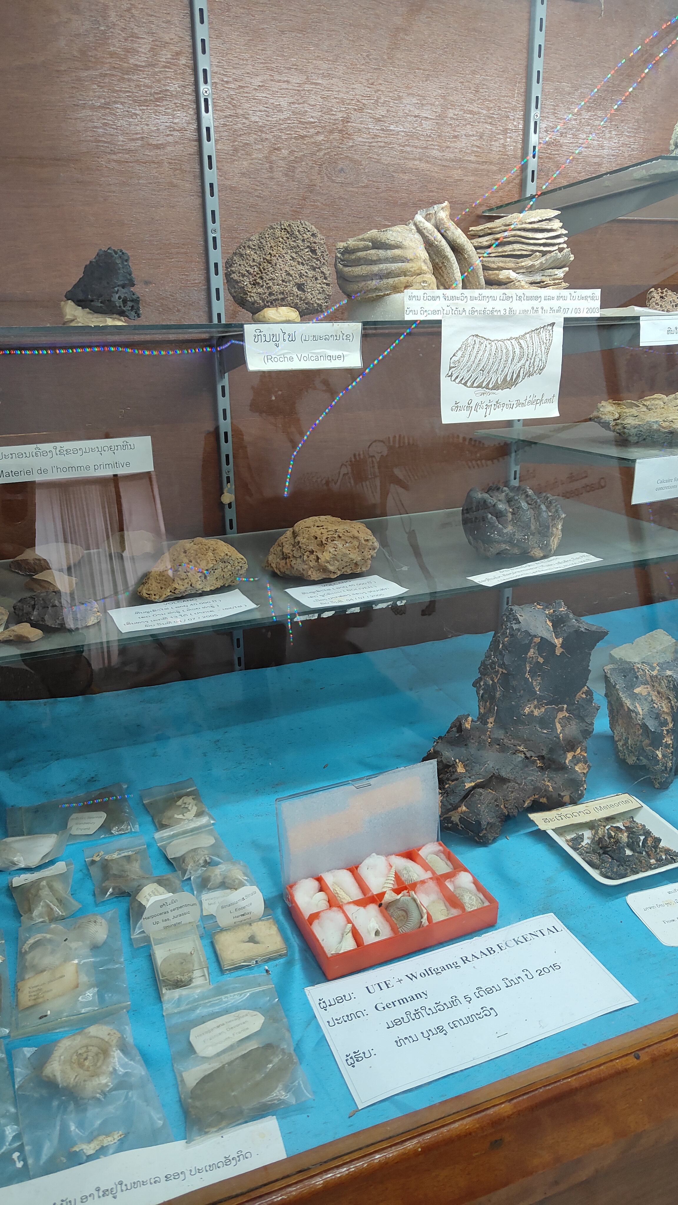 Savanaketh - musée dinosaure