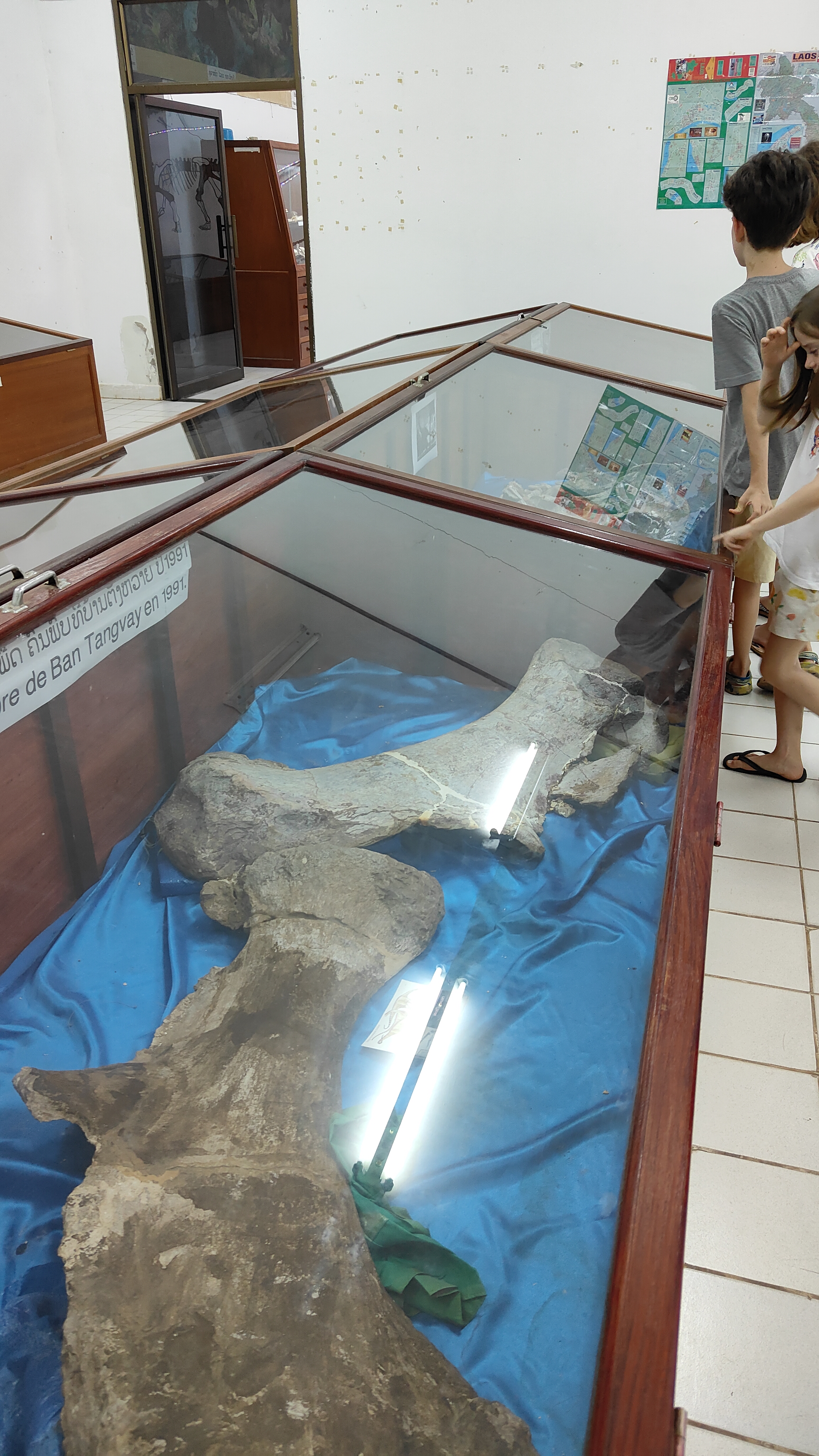 Savanaketh - musée dinosaure