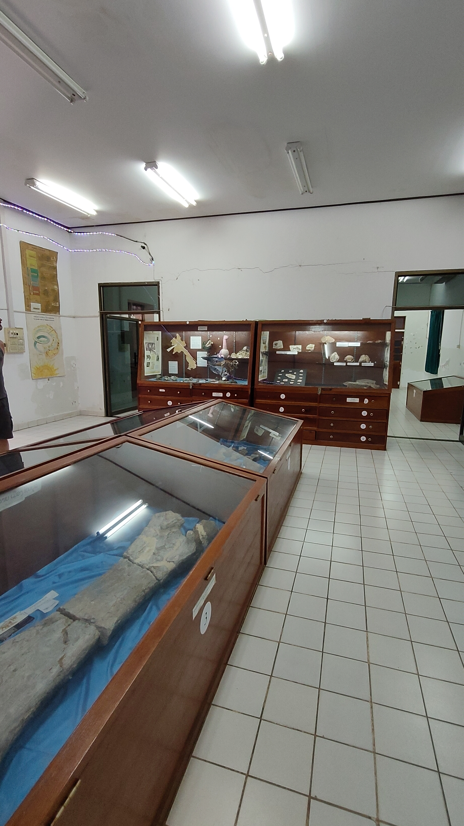 Savanaketh - musée dinosaure