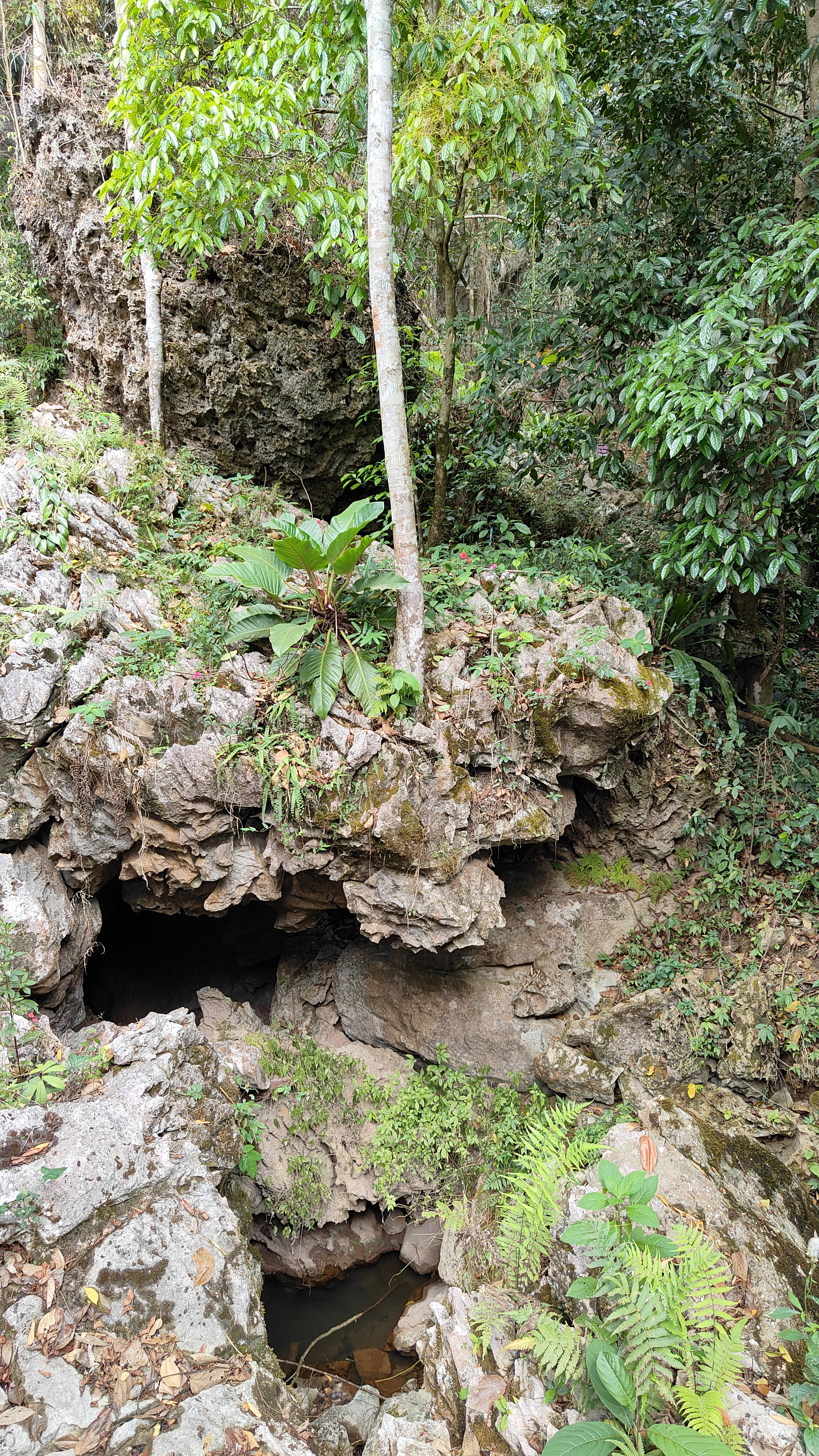 boucle de Thakekh - Dragon Cave