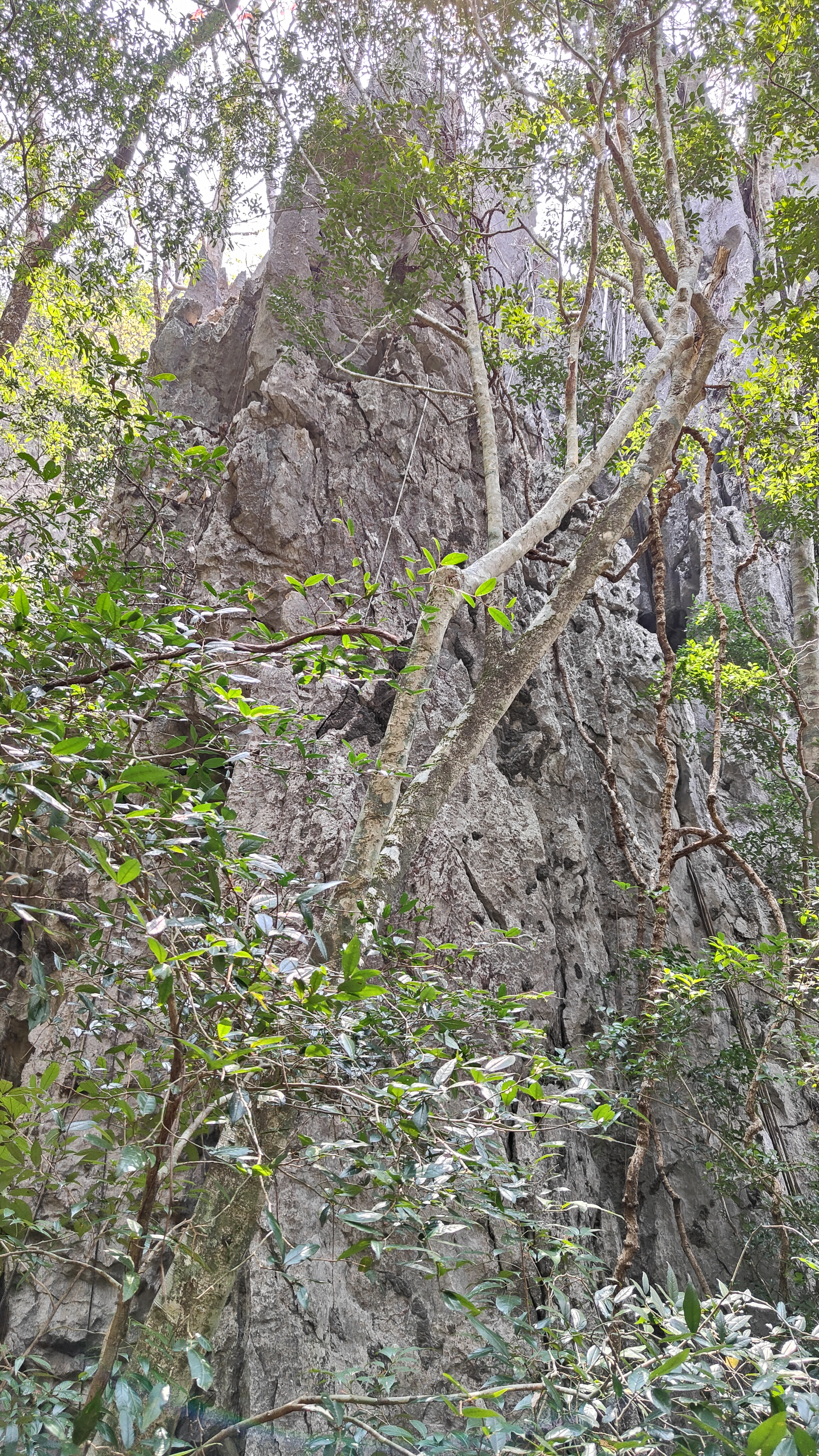 boucle de Thakekh - The rock viewpoint