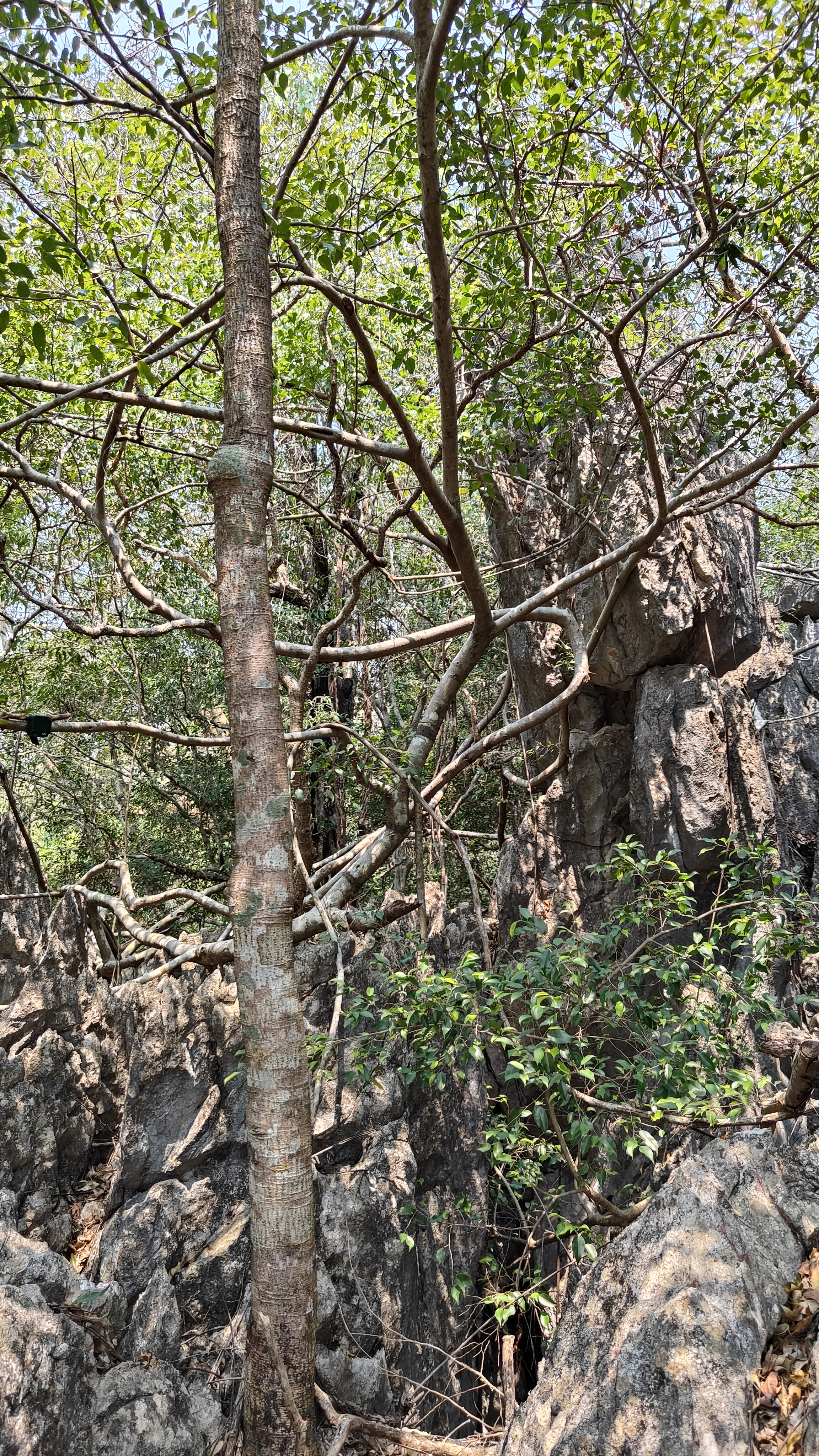 boucle de Thakekh - The rock viewpoint