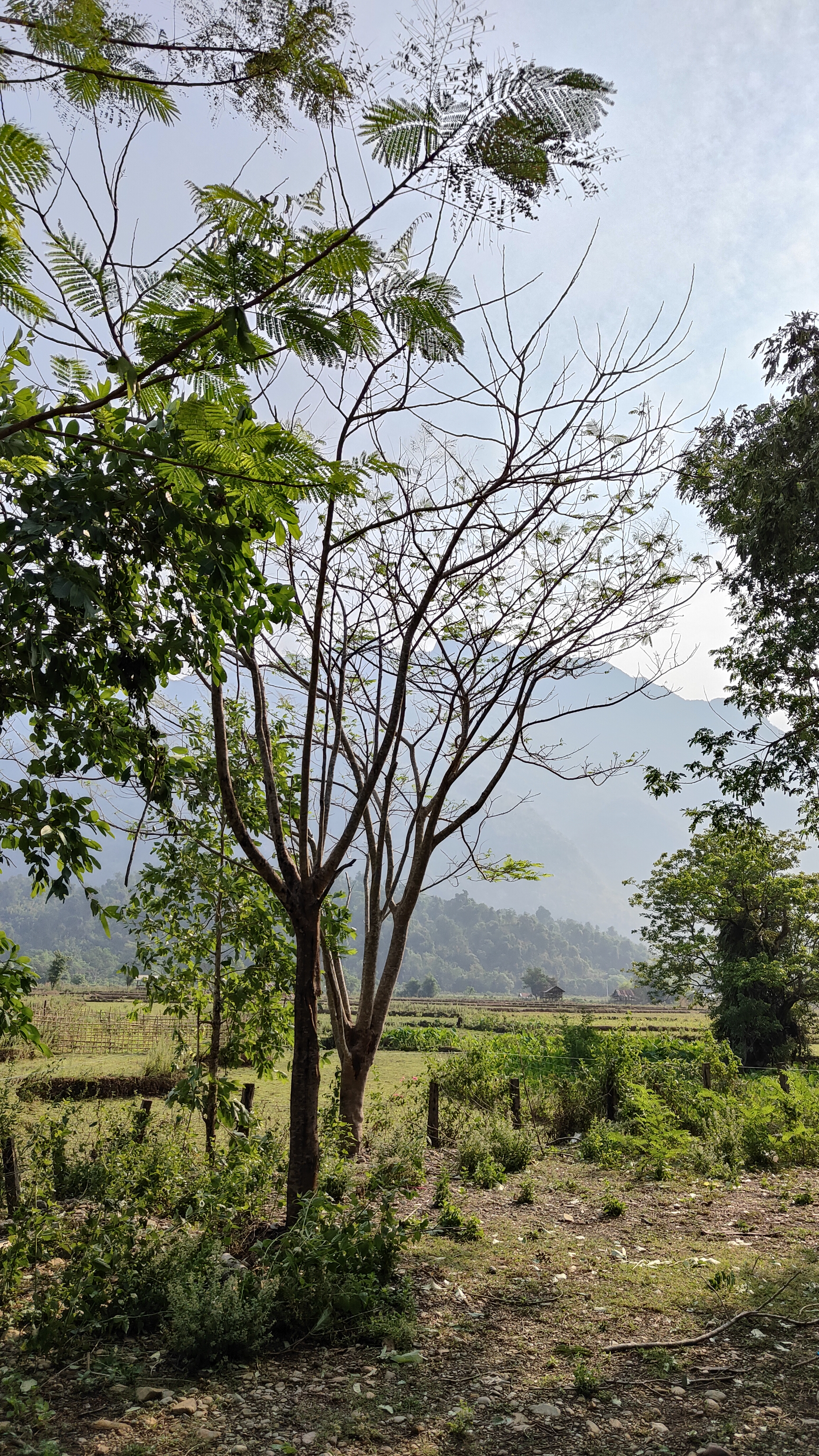 Vang Vieng - lagoon3