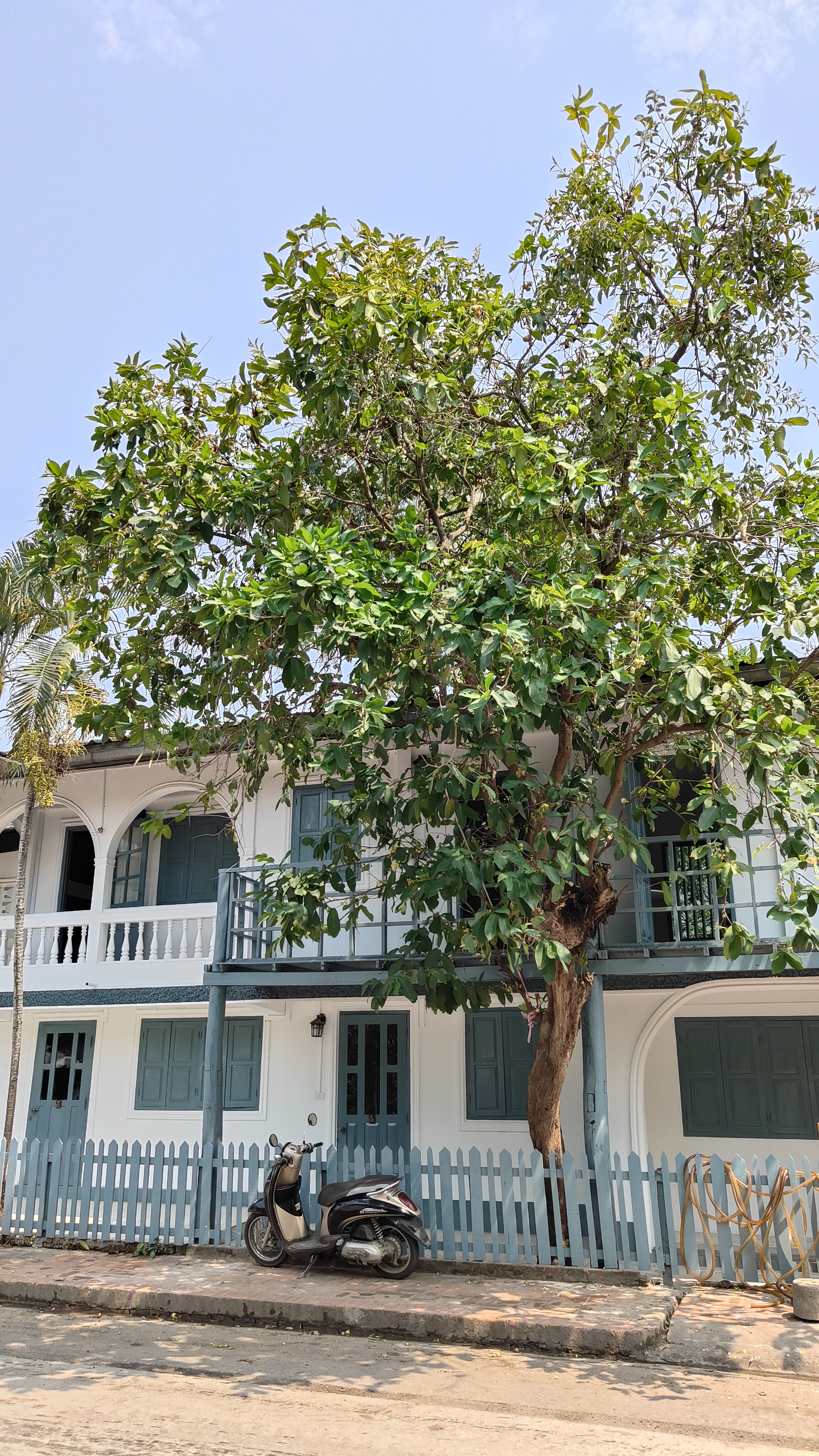 Luang Prabang