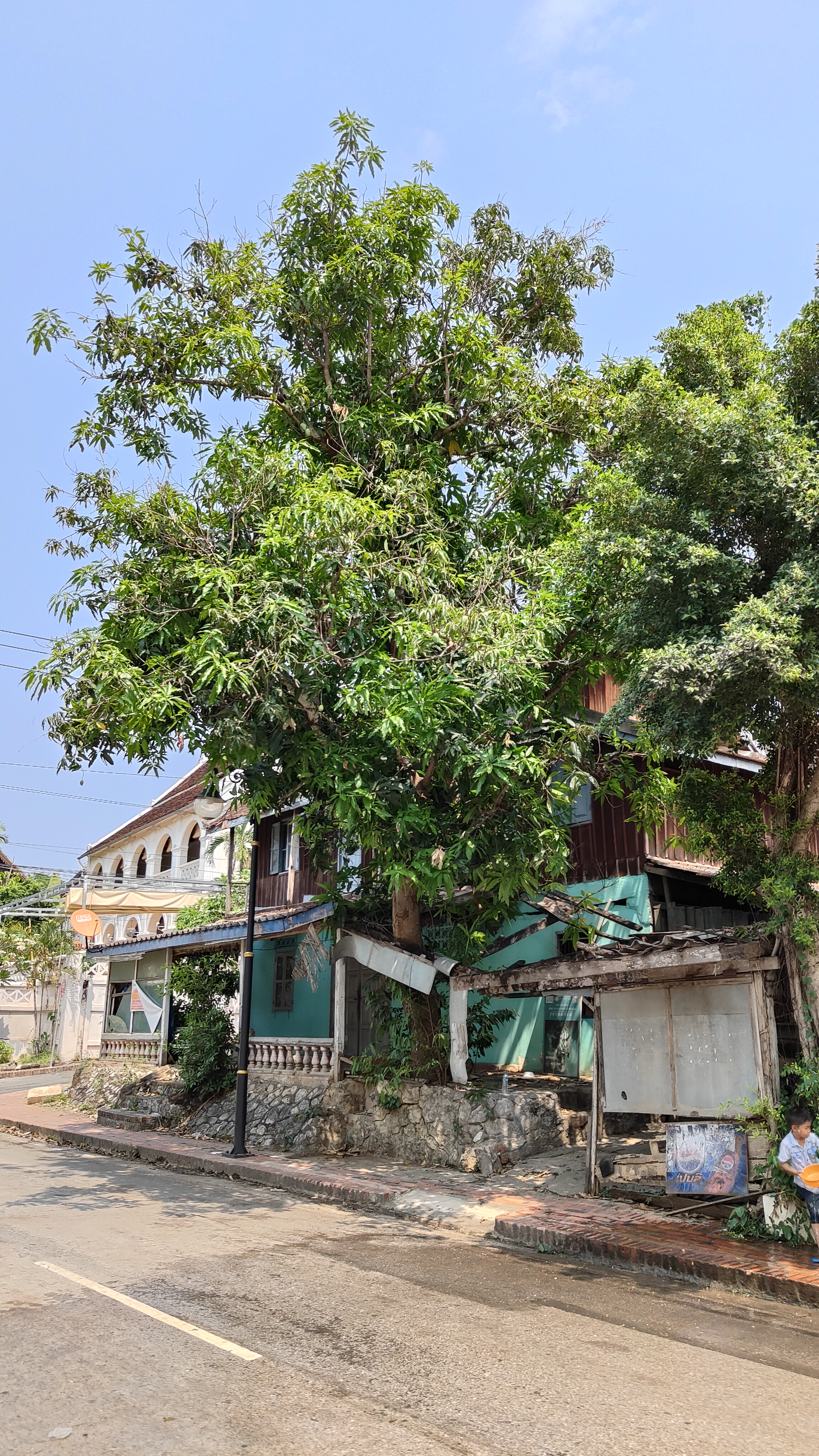Luang Prabang