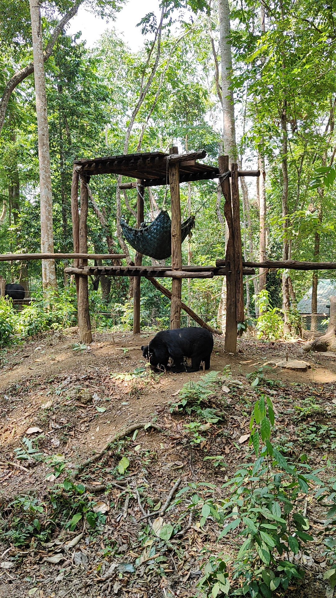 Ours lao