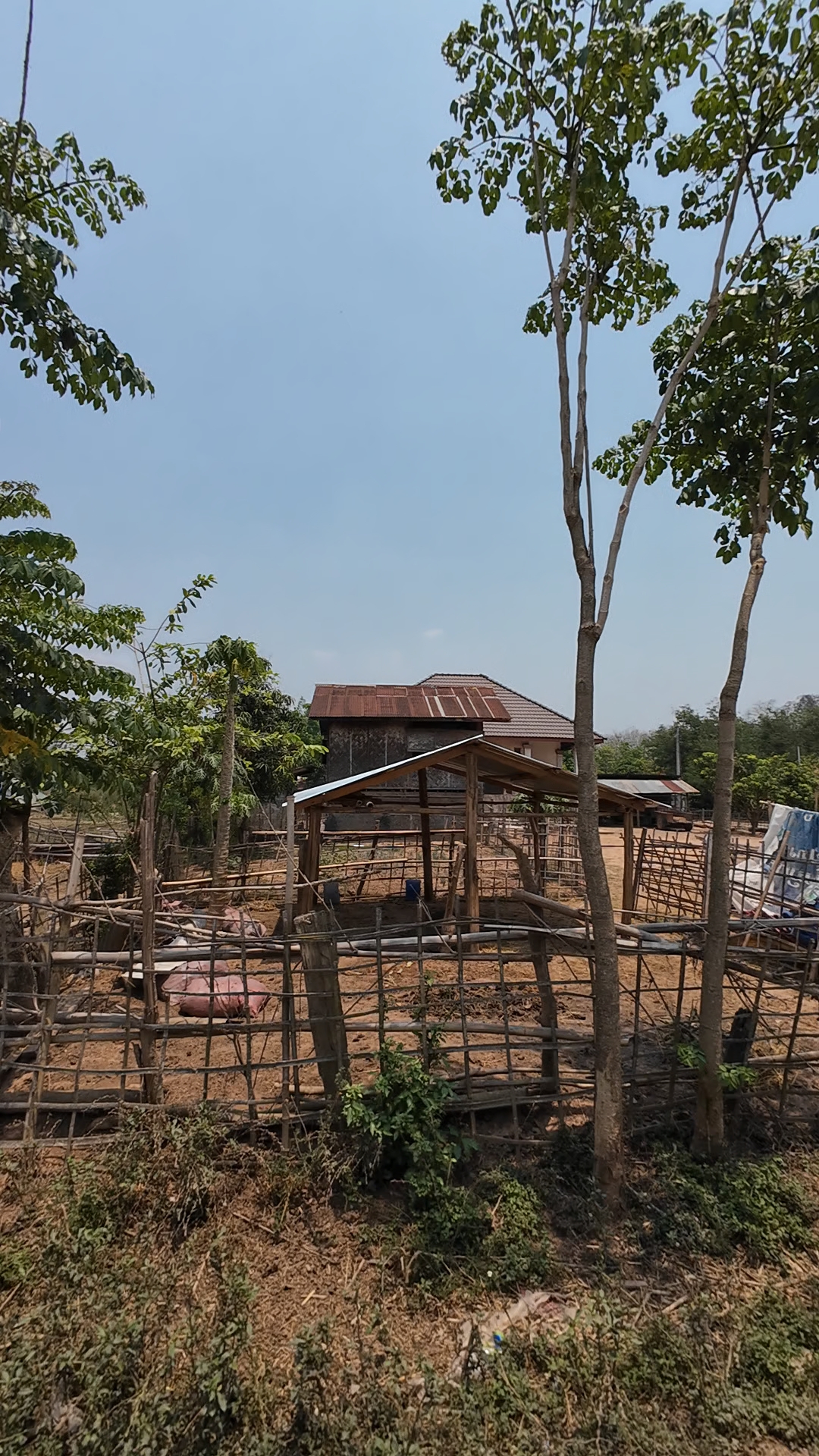 Luang Namtha
