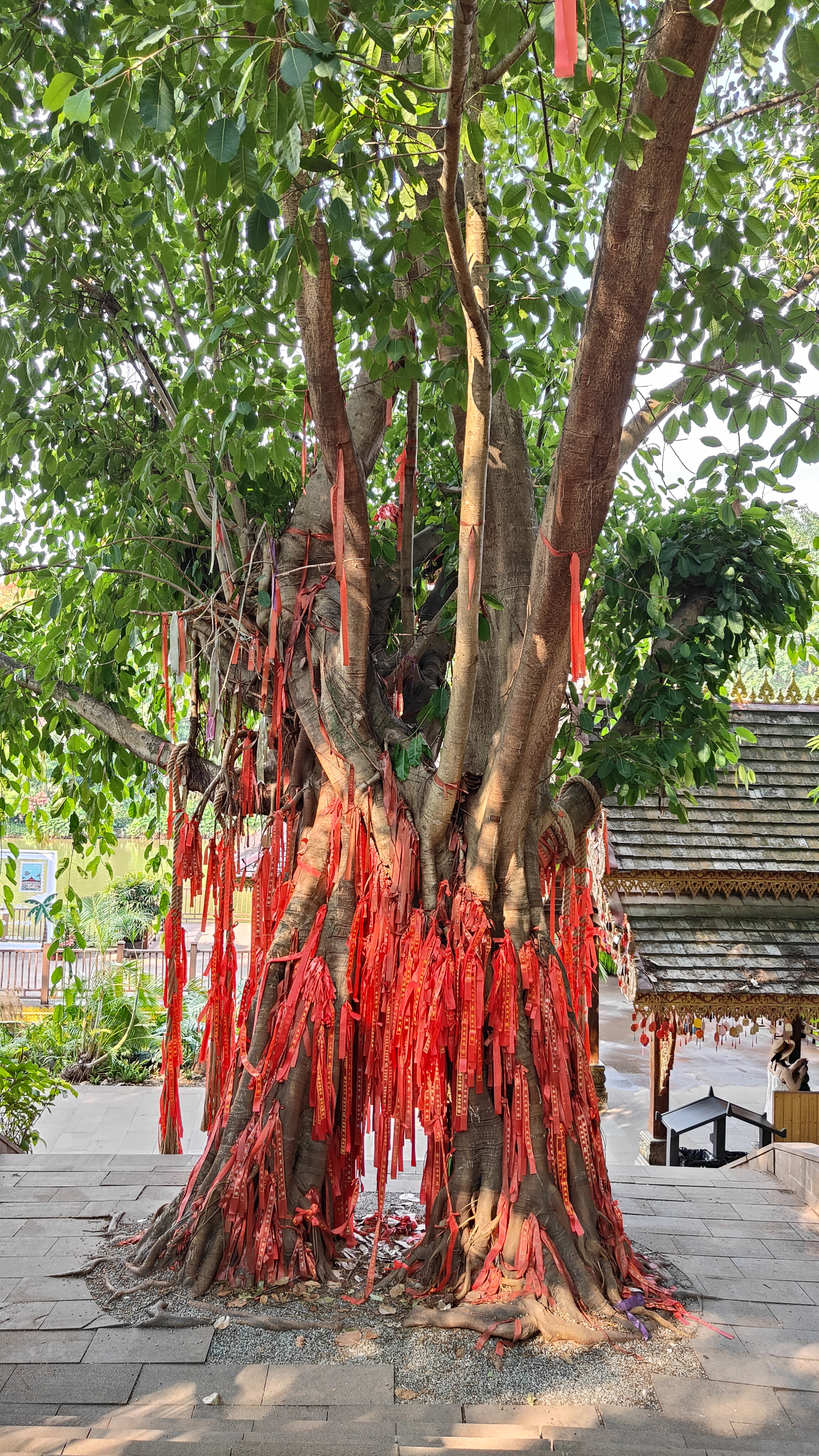 Manting Park - Yunnan