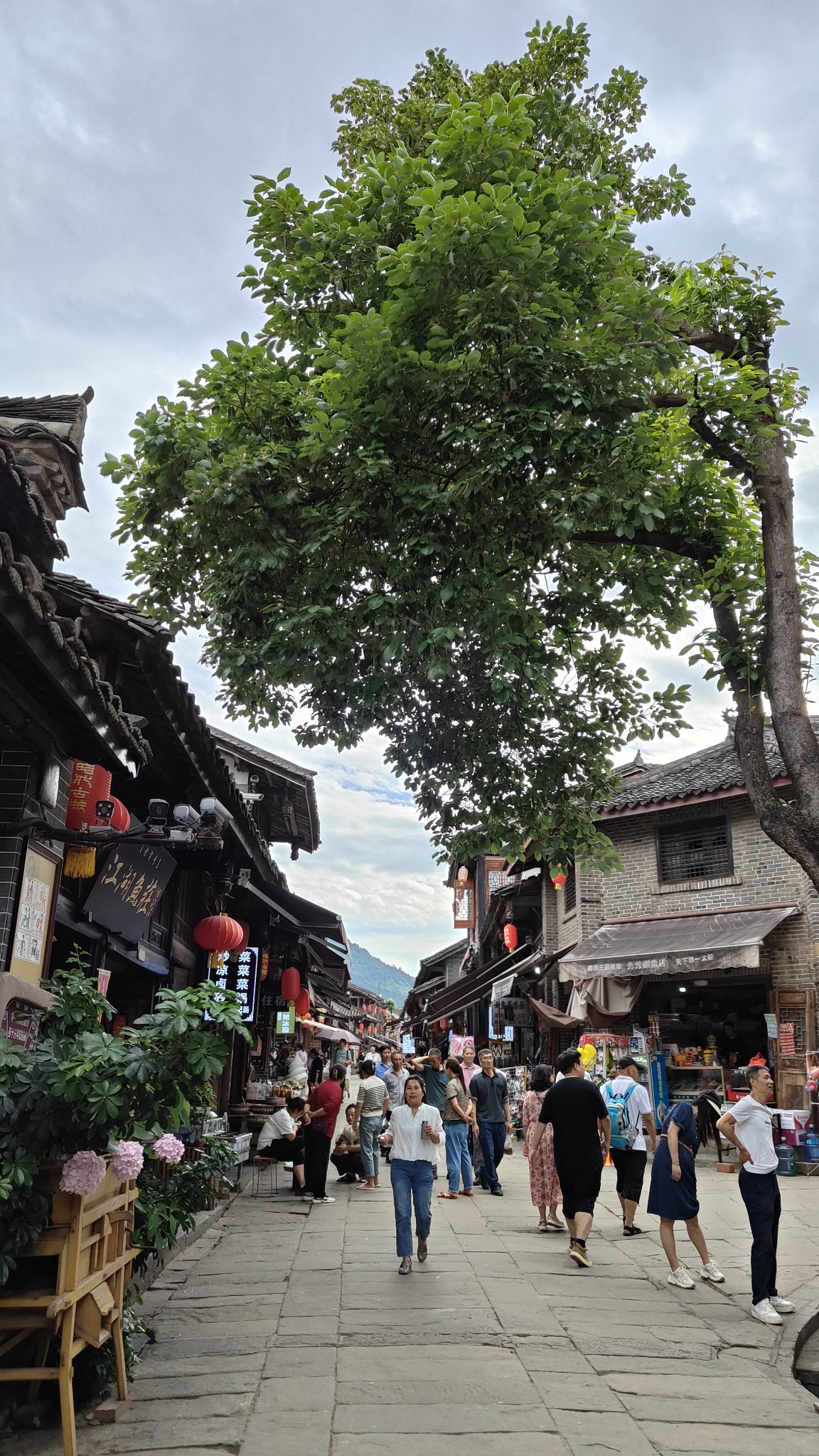 Zhaohua