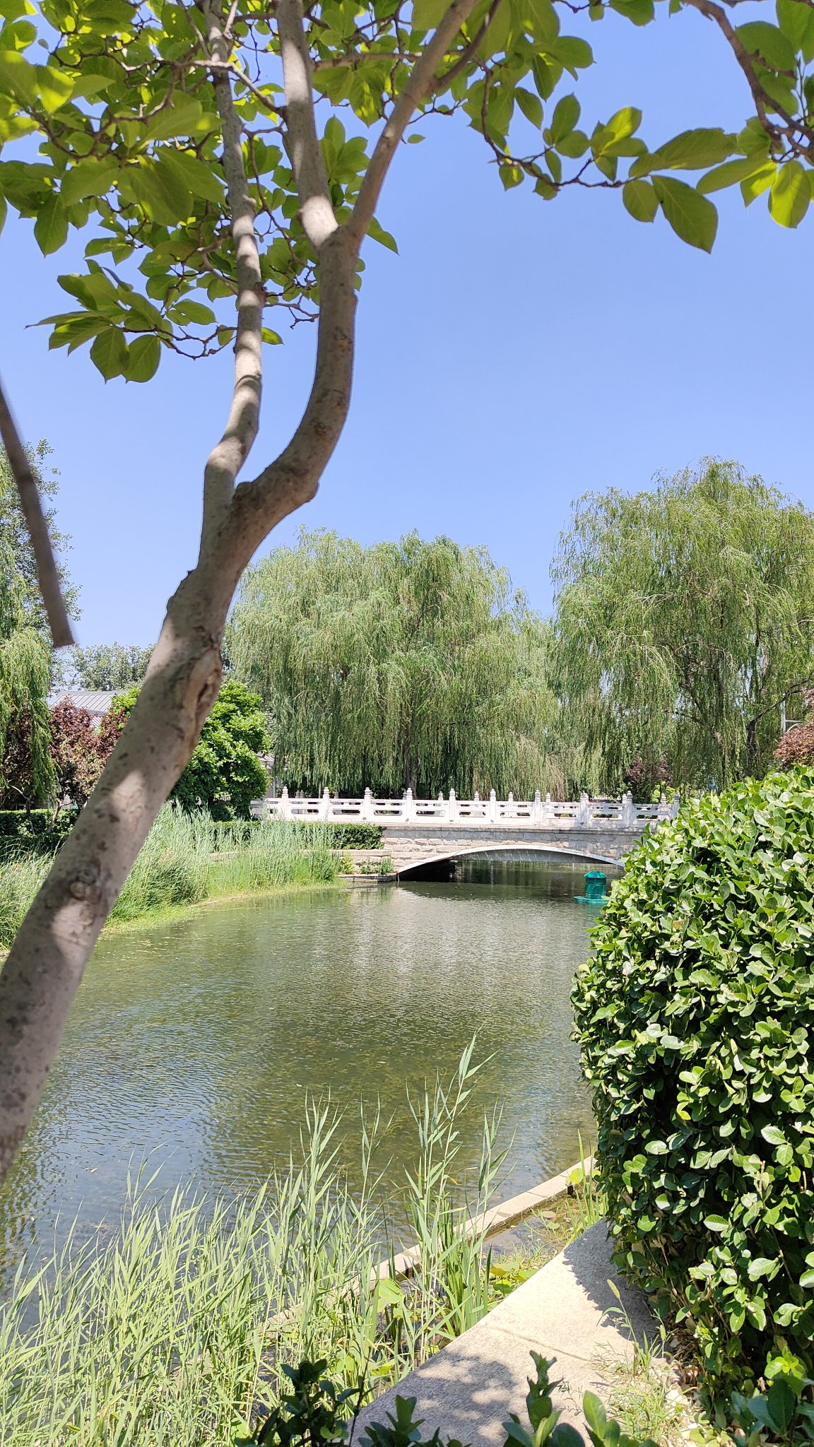 Hutong - Beijing