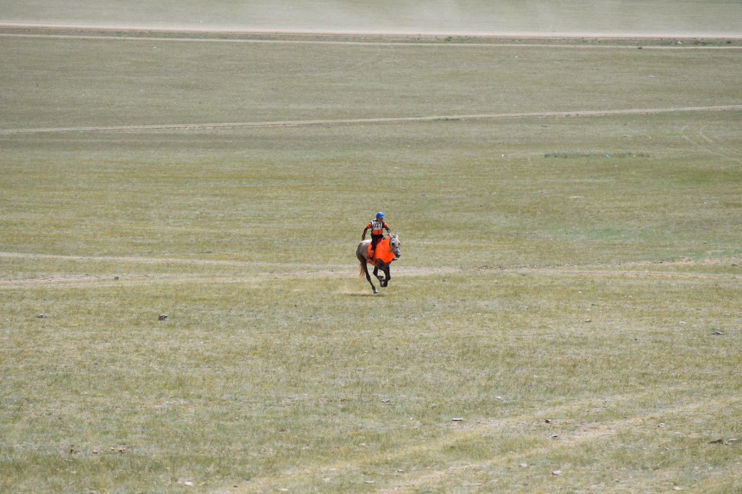 Naadam - Courses de chevaux