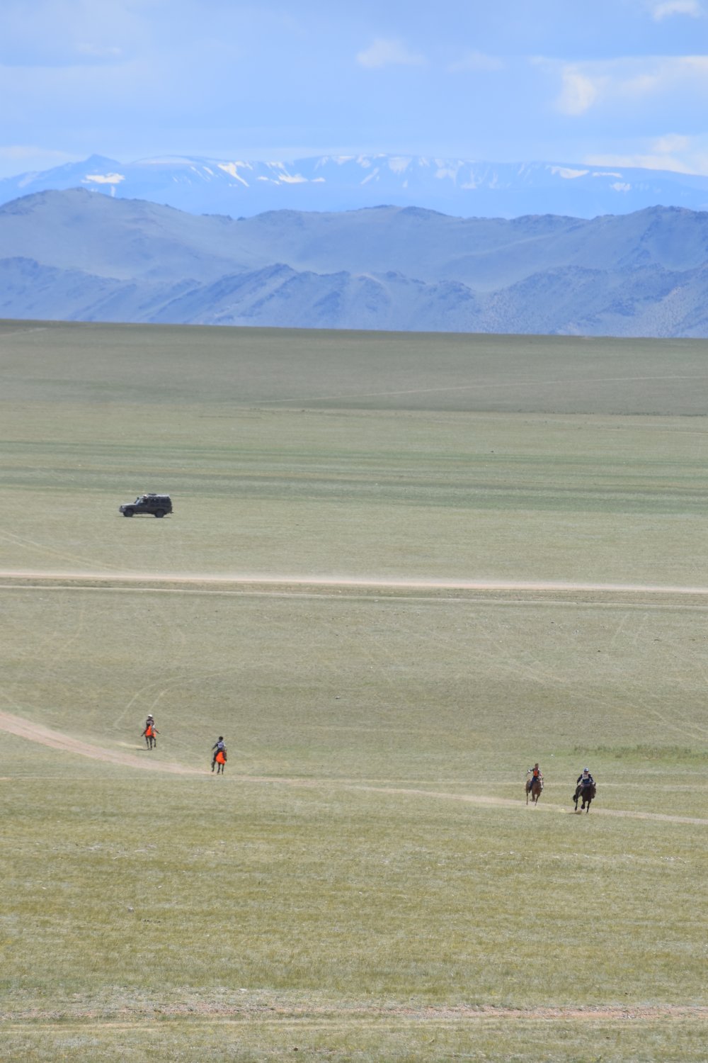 Naadam - Courses de chevaux