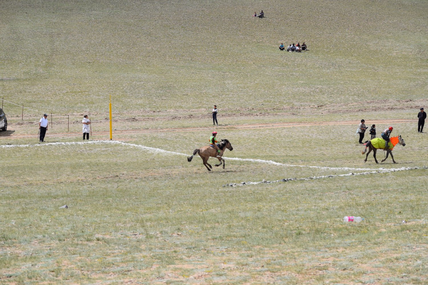 Naadam - Courses de chevaux