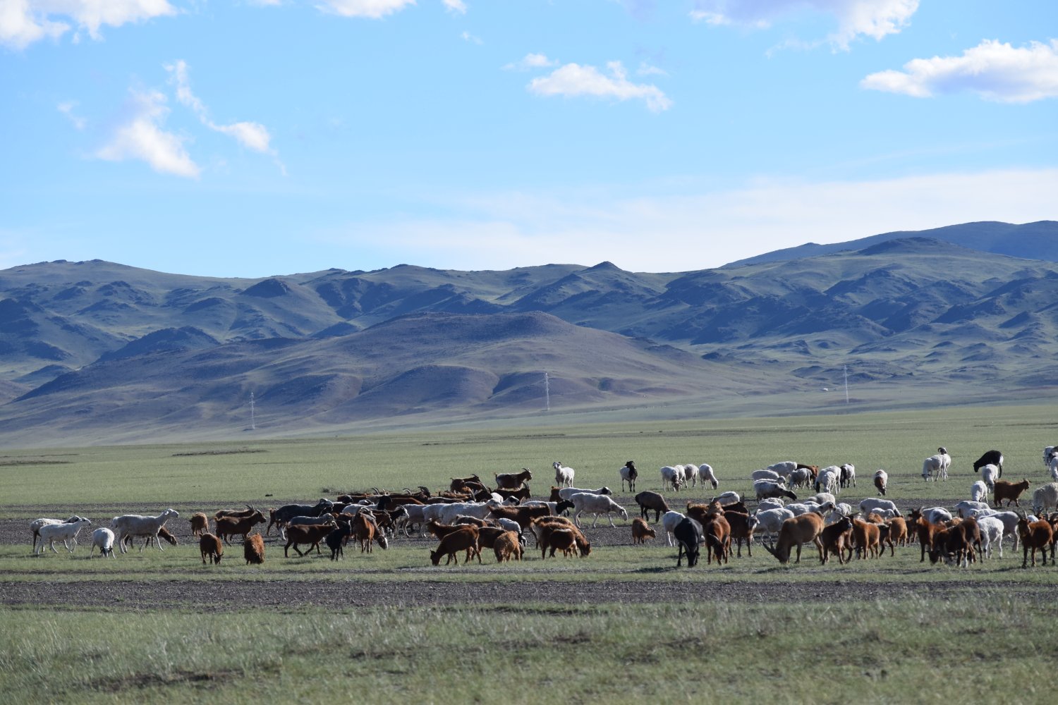 Piste steppes mongolie 