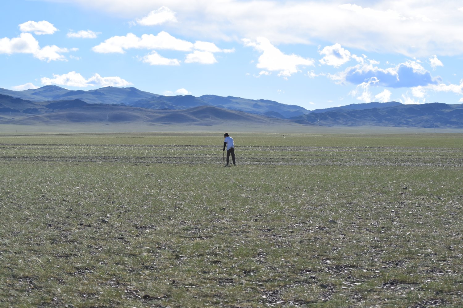 Piste steppes mongolie 