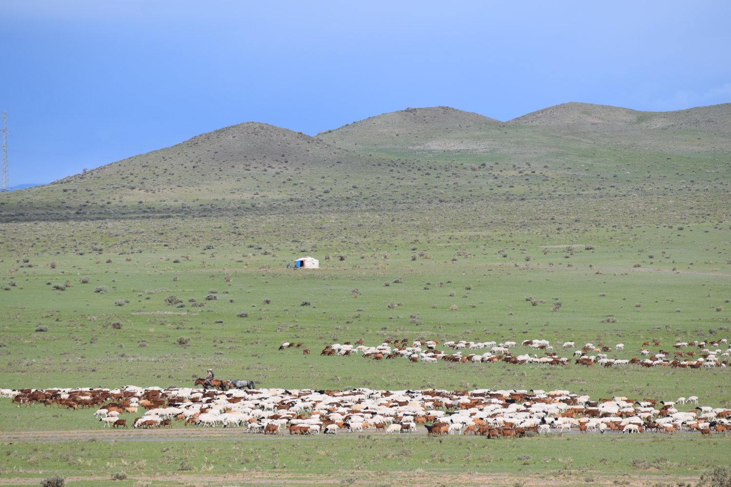 Piste steppes mongolie 