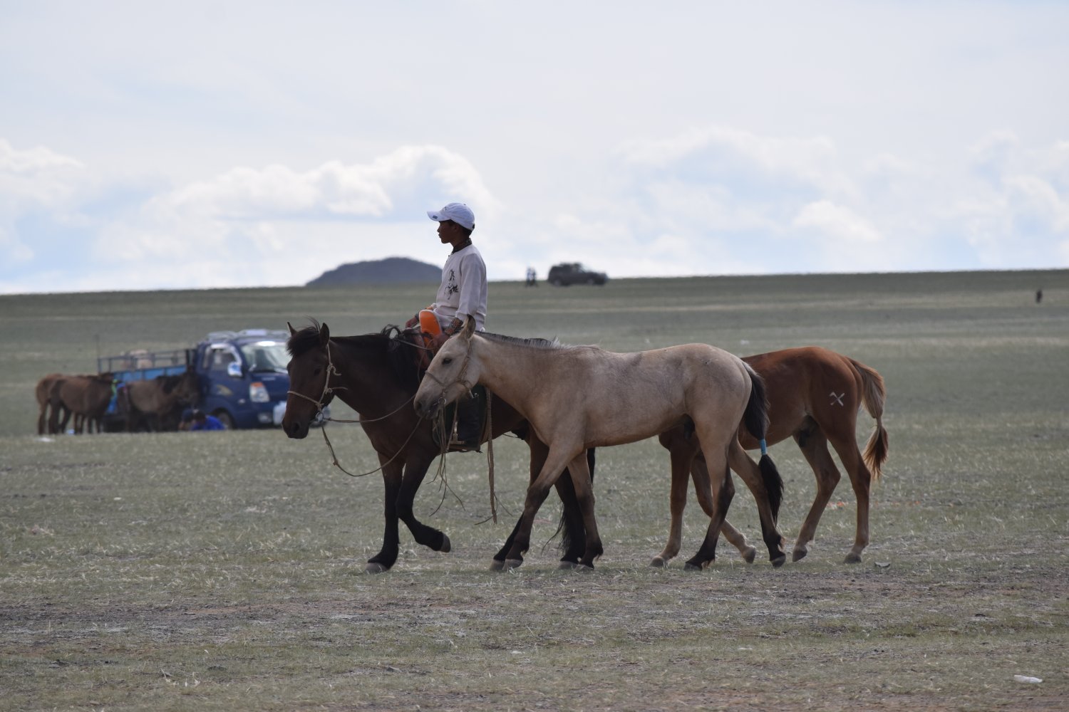 Fête steppes mongoles
