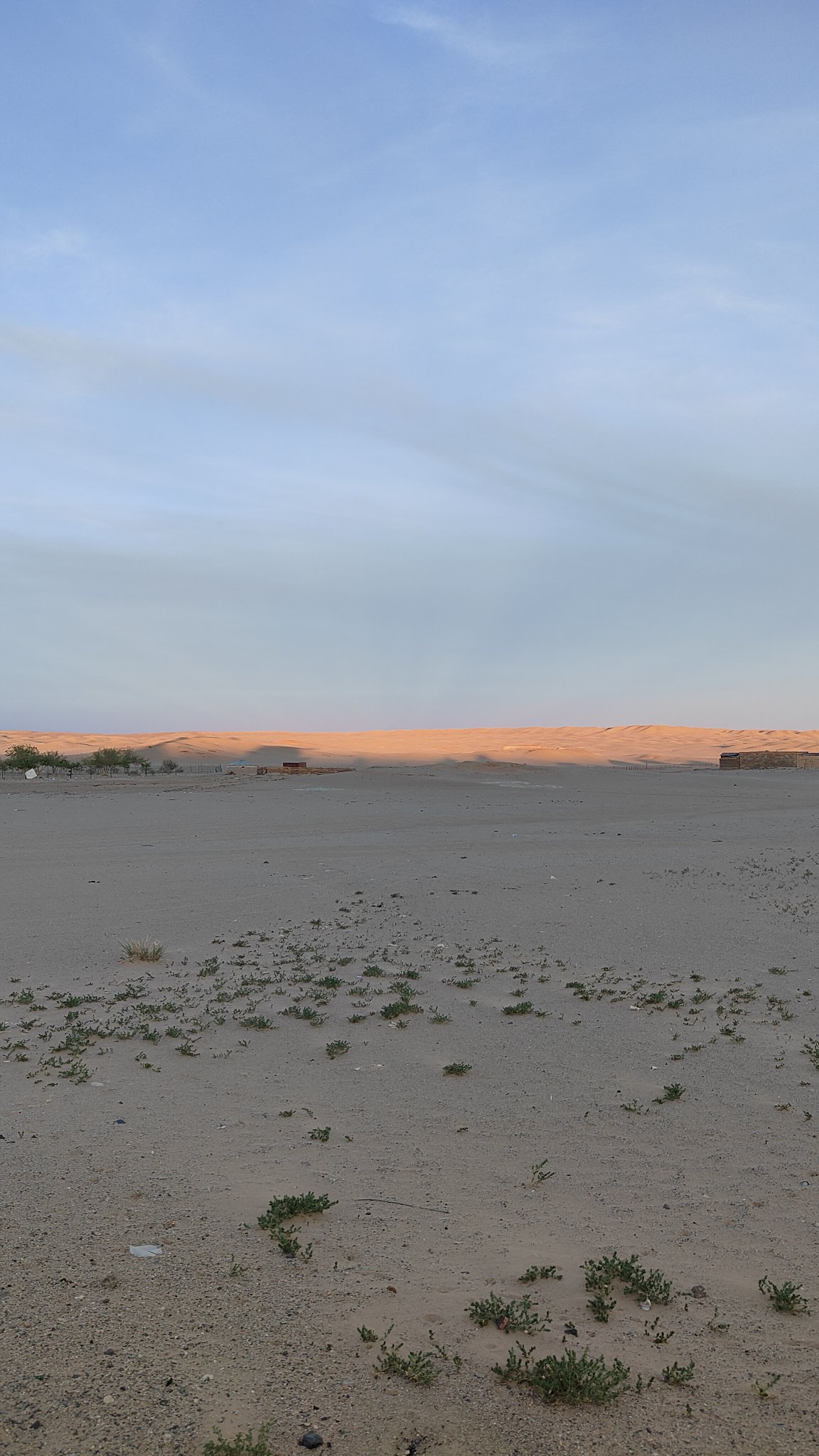 Mongolie