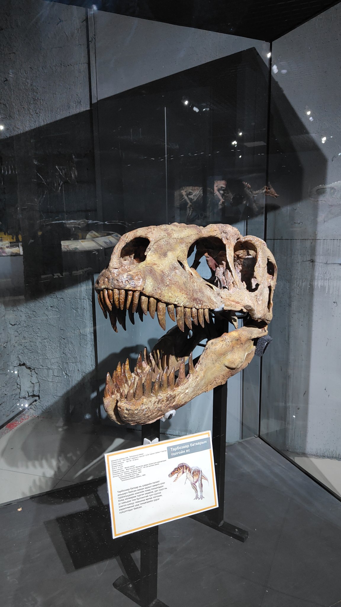 Oulan-Bator - Muséum d'histoire naturelle