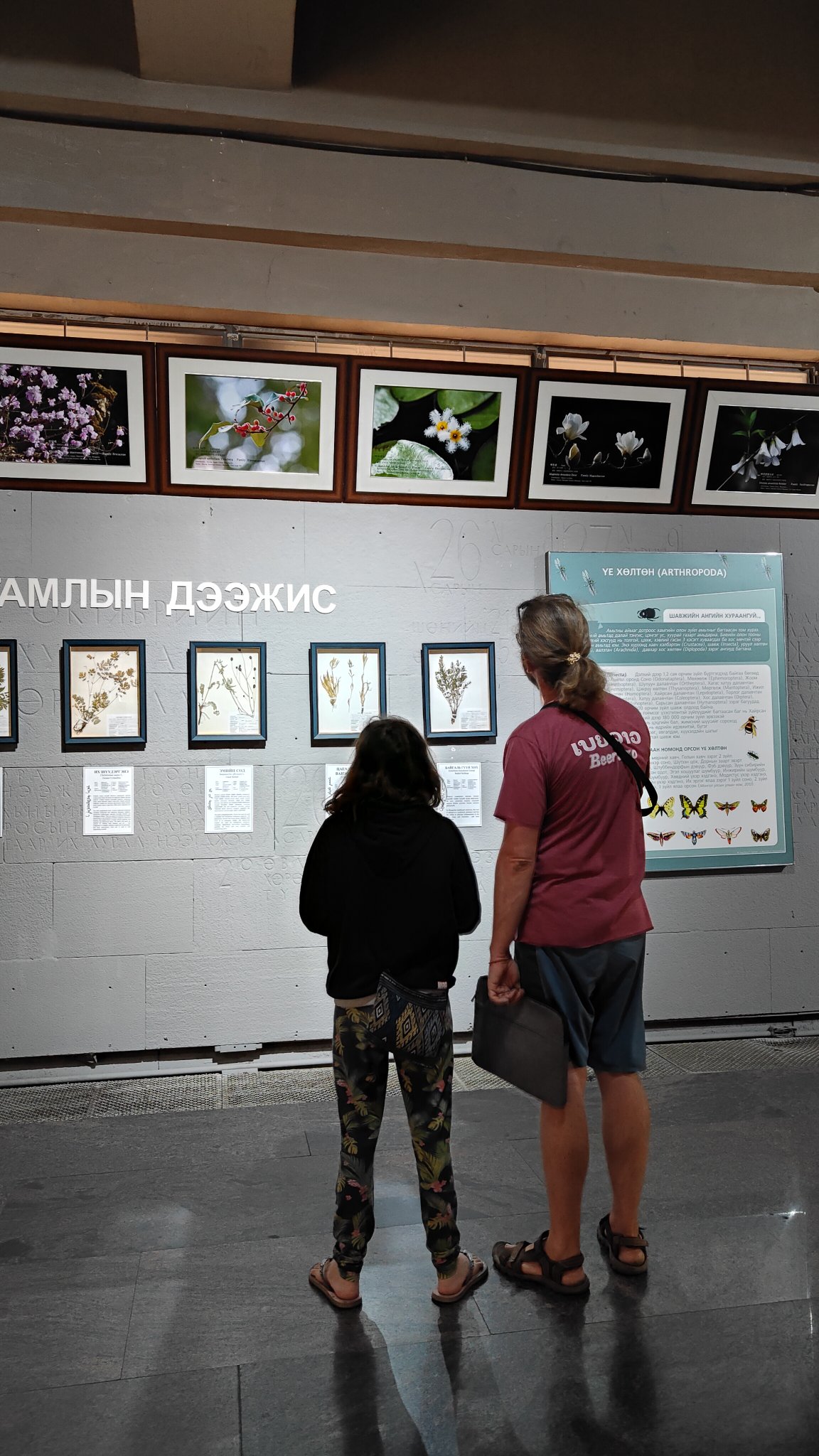 Oulan-Bator - Muséum d'histoire naturelle