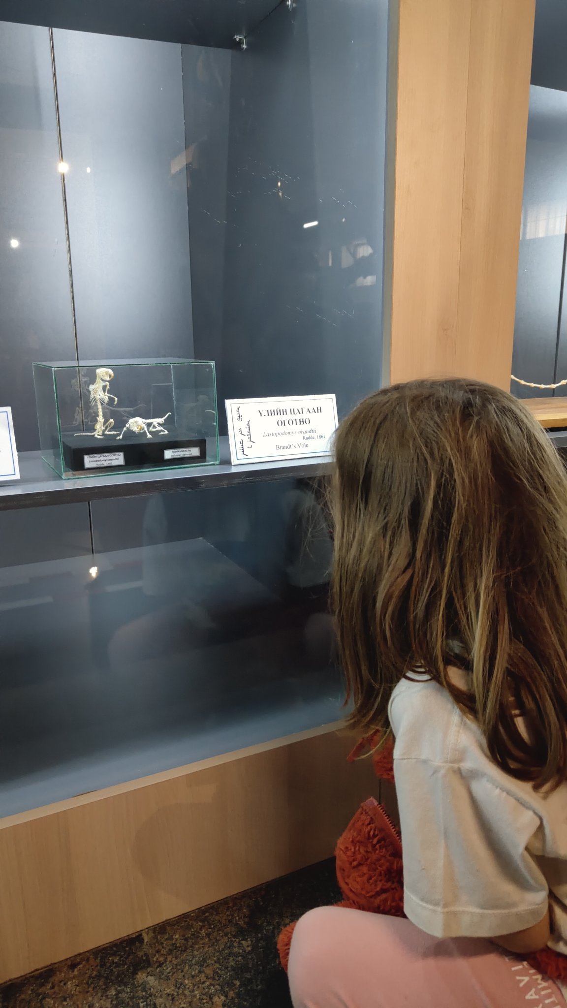 Oulan-Bator - Muséum d'histoire naturelle
