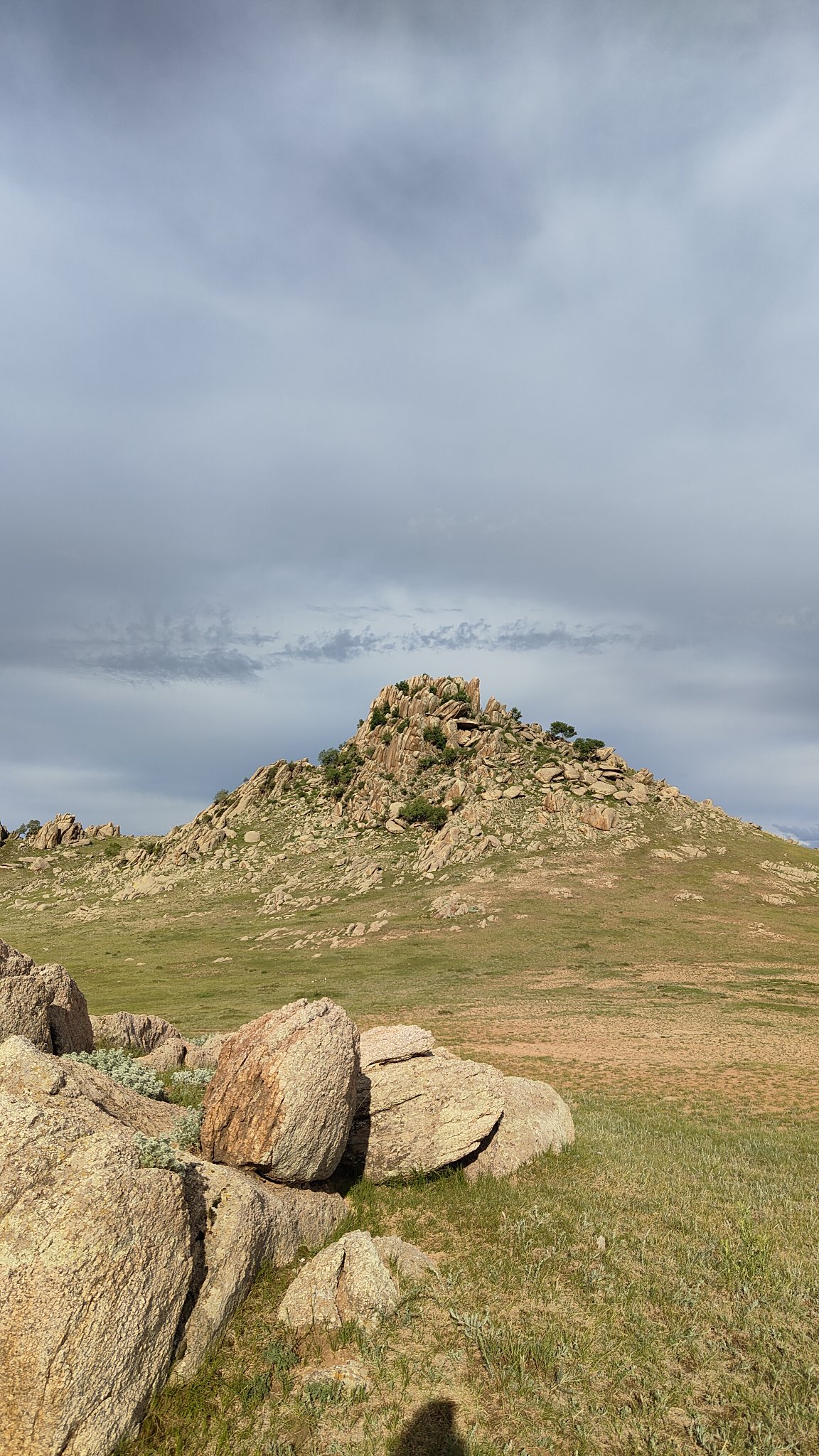 spot steppes
