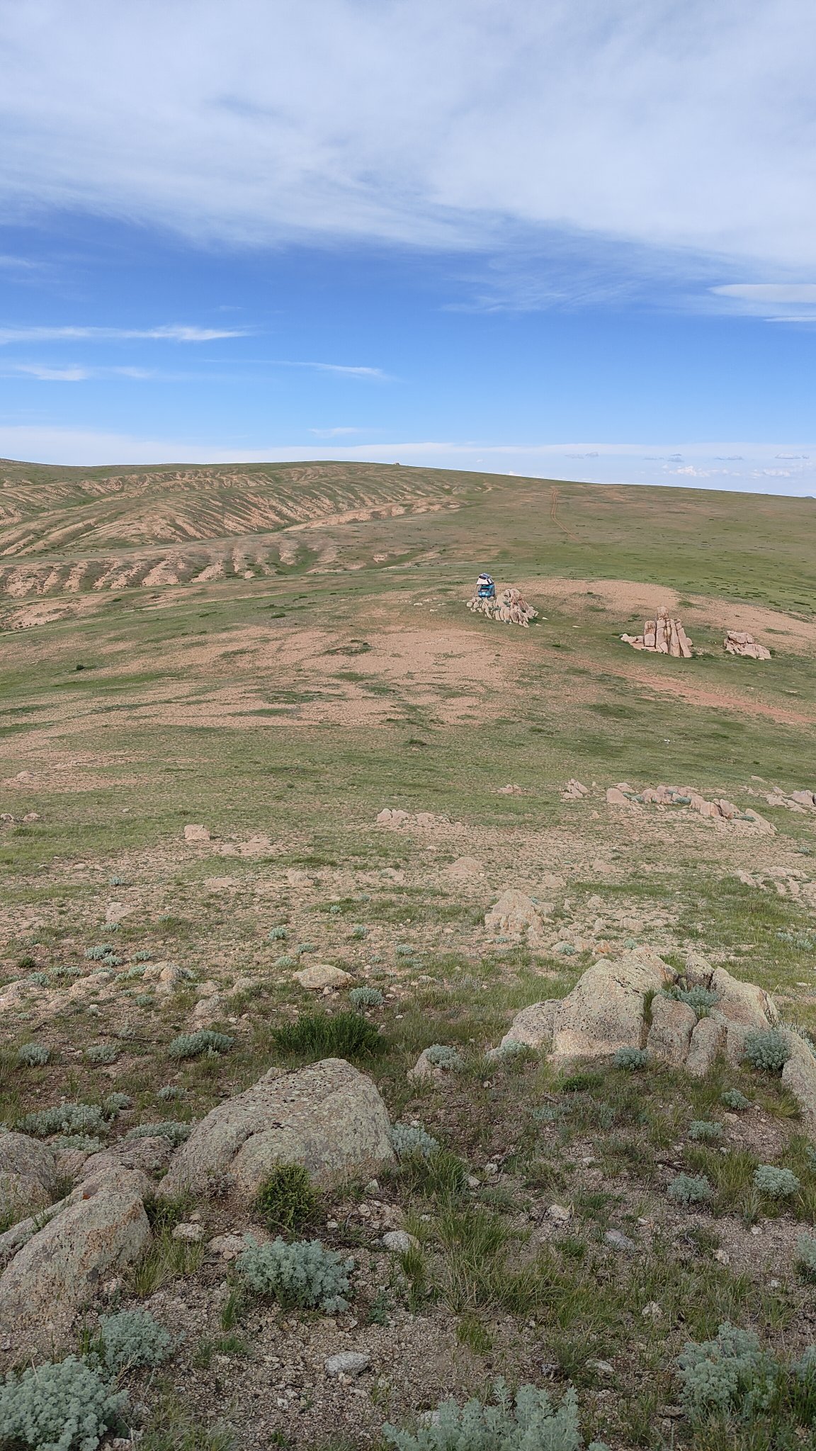 spot steppes